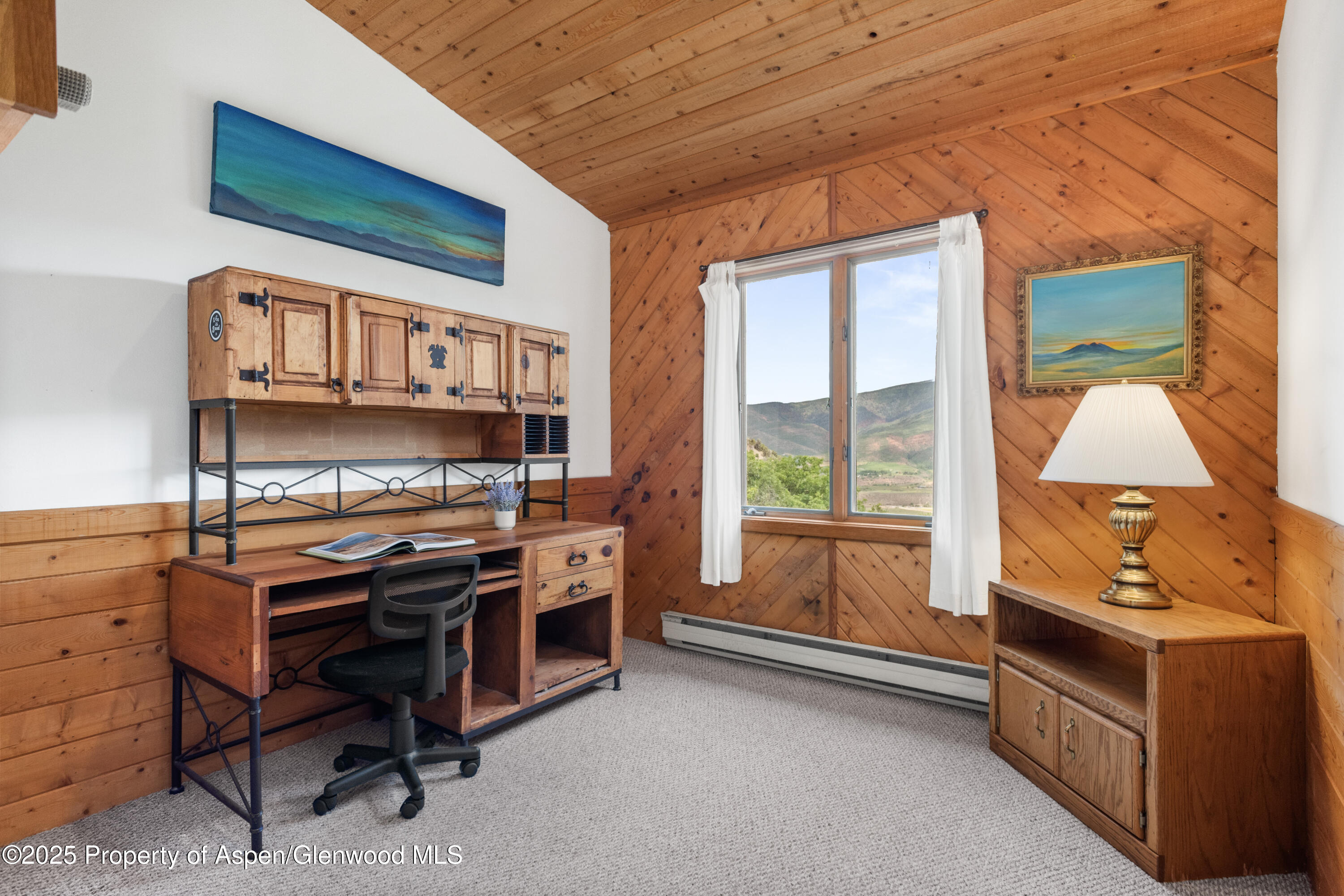 2020 Juniper Hill Drive Aspen CO 81611