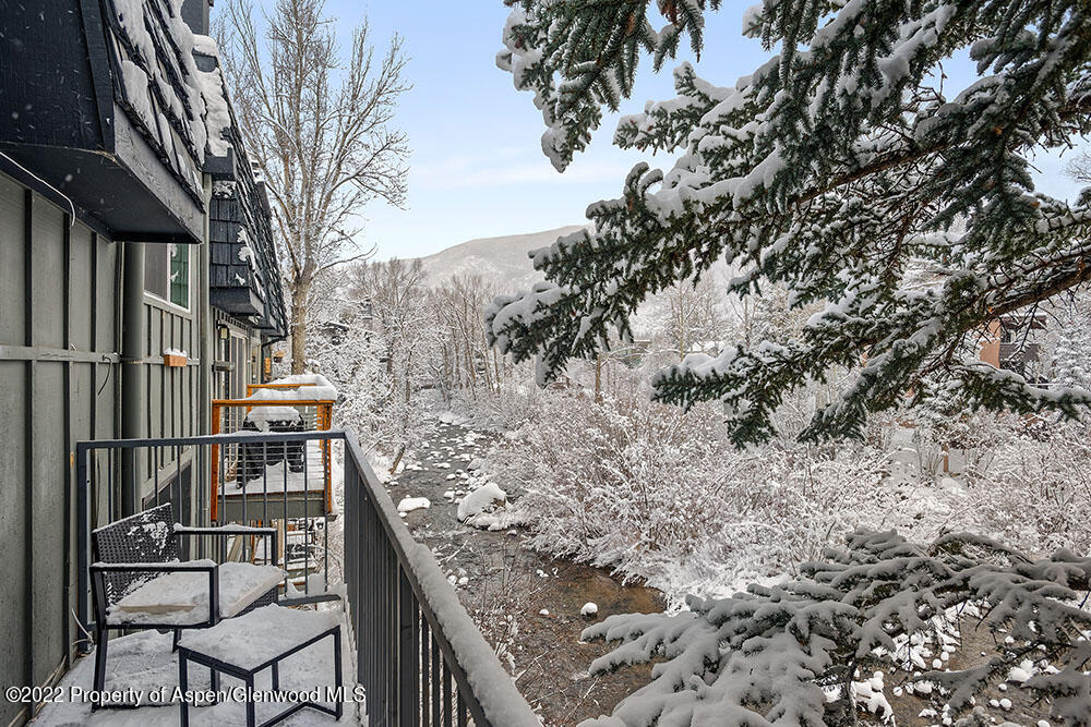 1050 Waters Avenue Aspen CO 81611