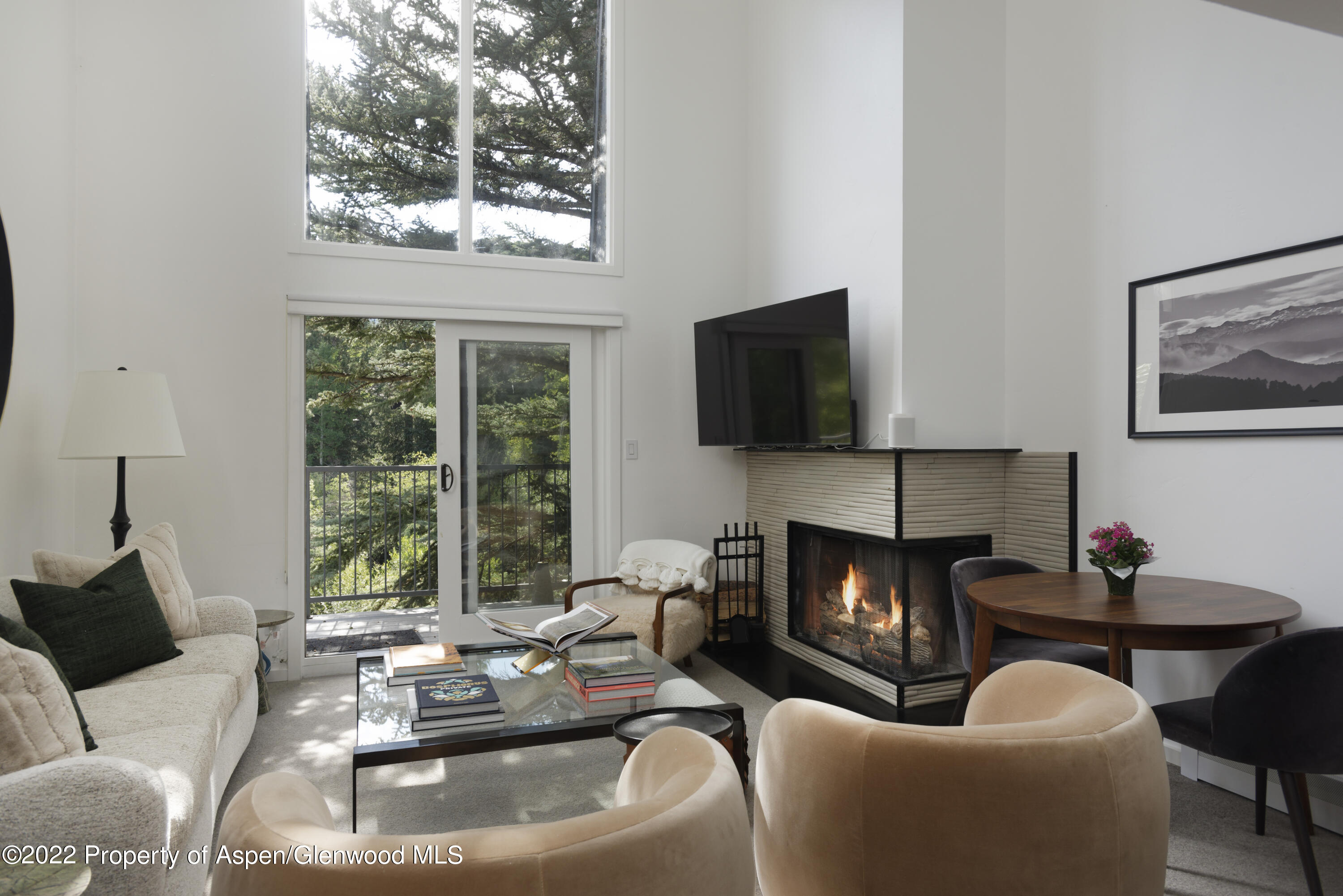 1050 Waters Avenue Aspen CO 81611