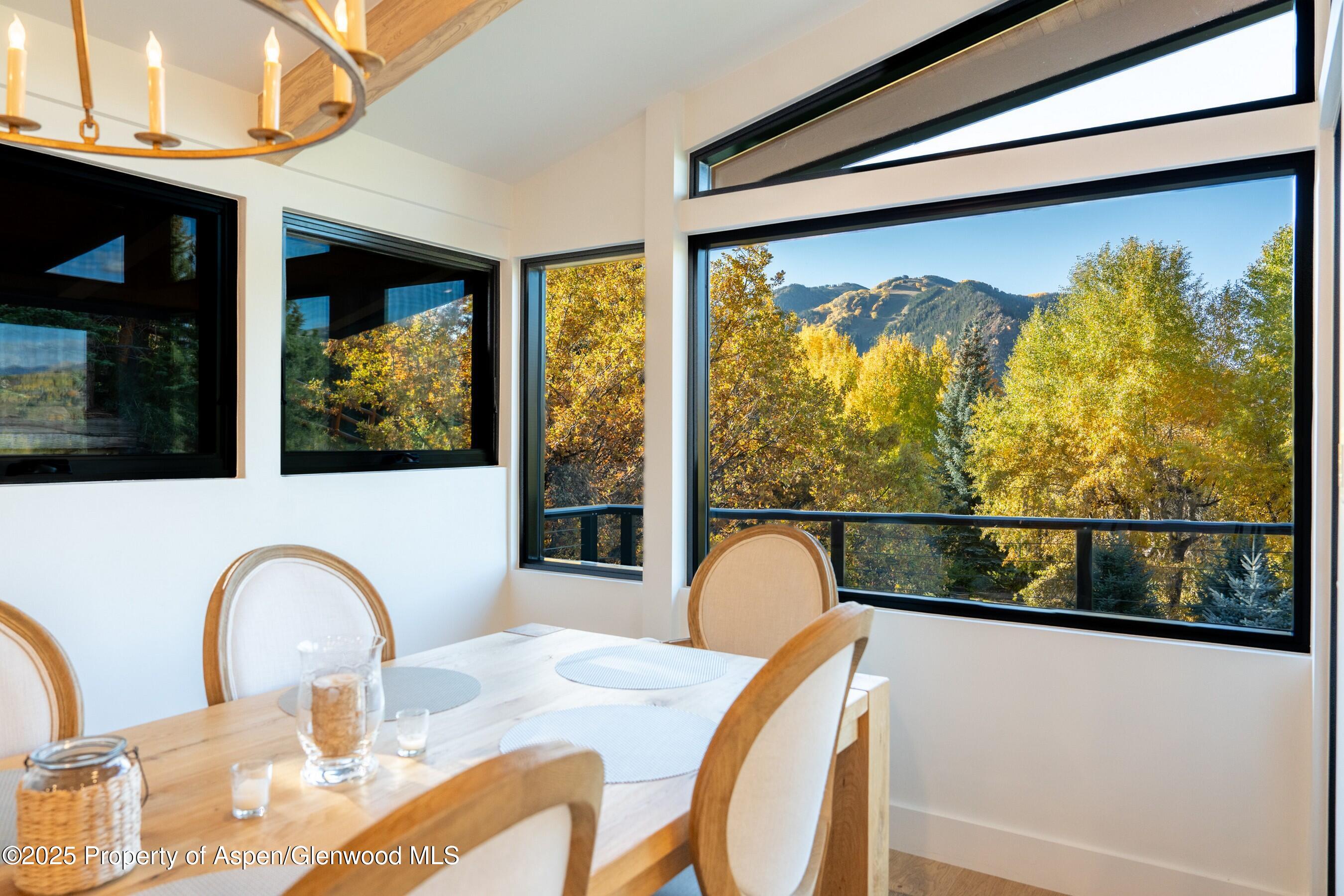 59 Herron Hollow Road Aspen CO 81611