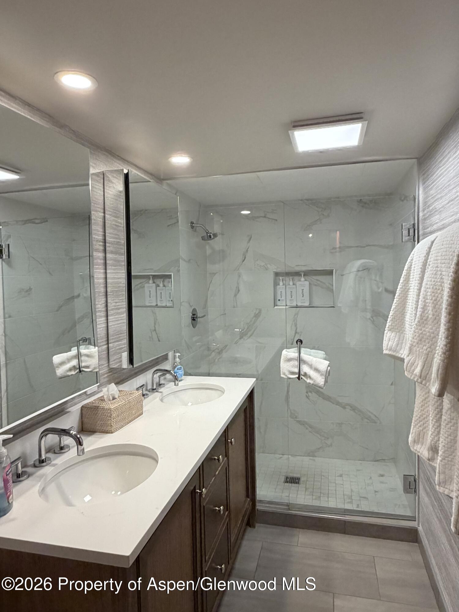 1039 E Cooper Avenue Aspen CO 81611