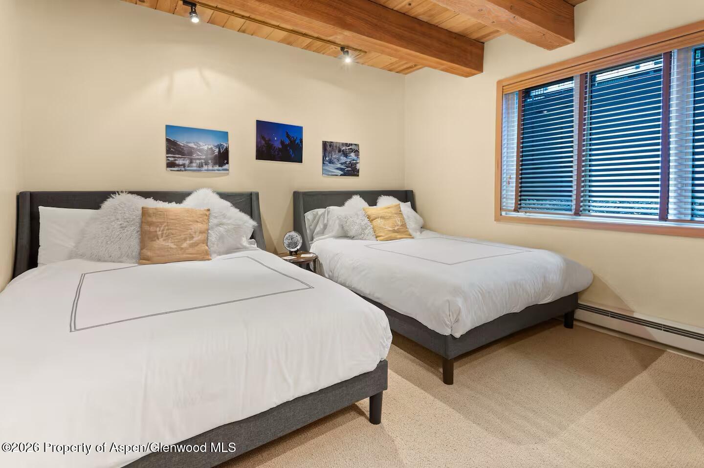 1039 E Cooper Avenue Aspen CO 81611