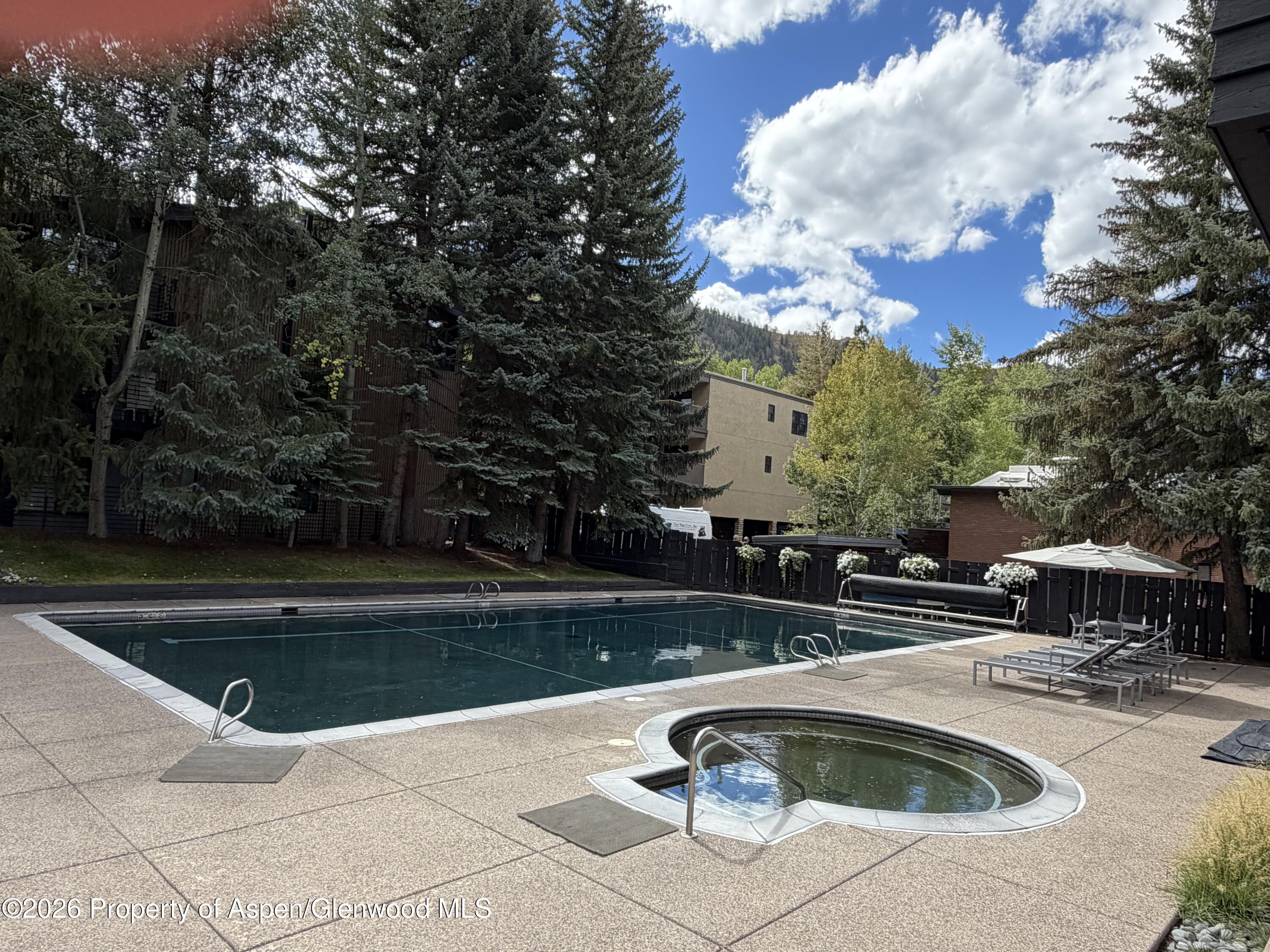 1039 E Cooper Avenue Aspen CO 81611