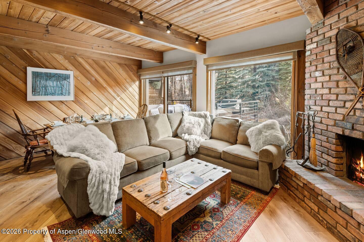 1039 E Cooper Avenue Aspen CO 81611