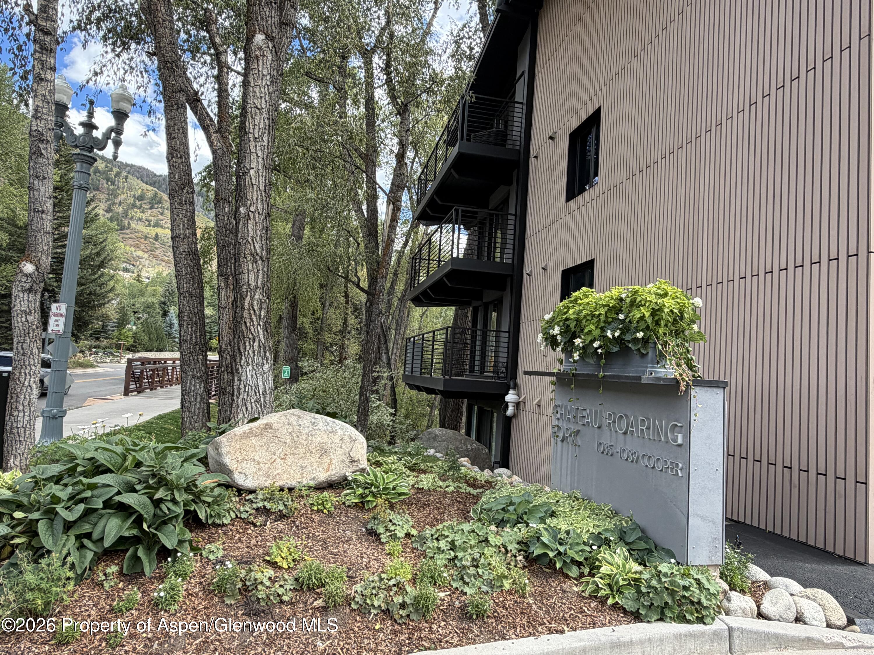 1039 E Cooper Avenue Aspen CO 81611