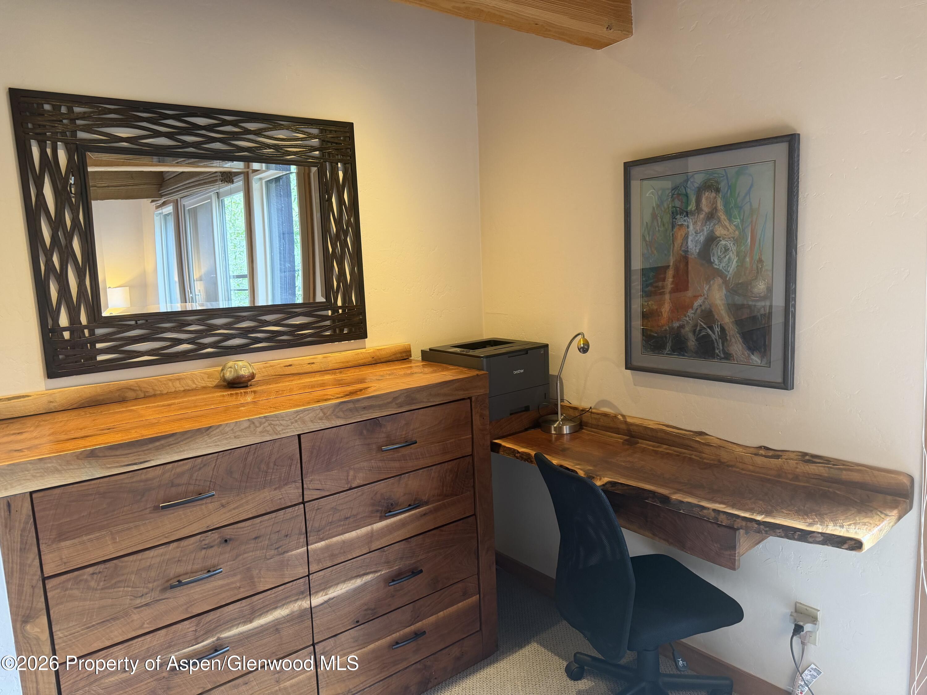 1039 E Cooper Avenue Aspen CO 81611