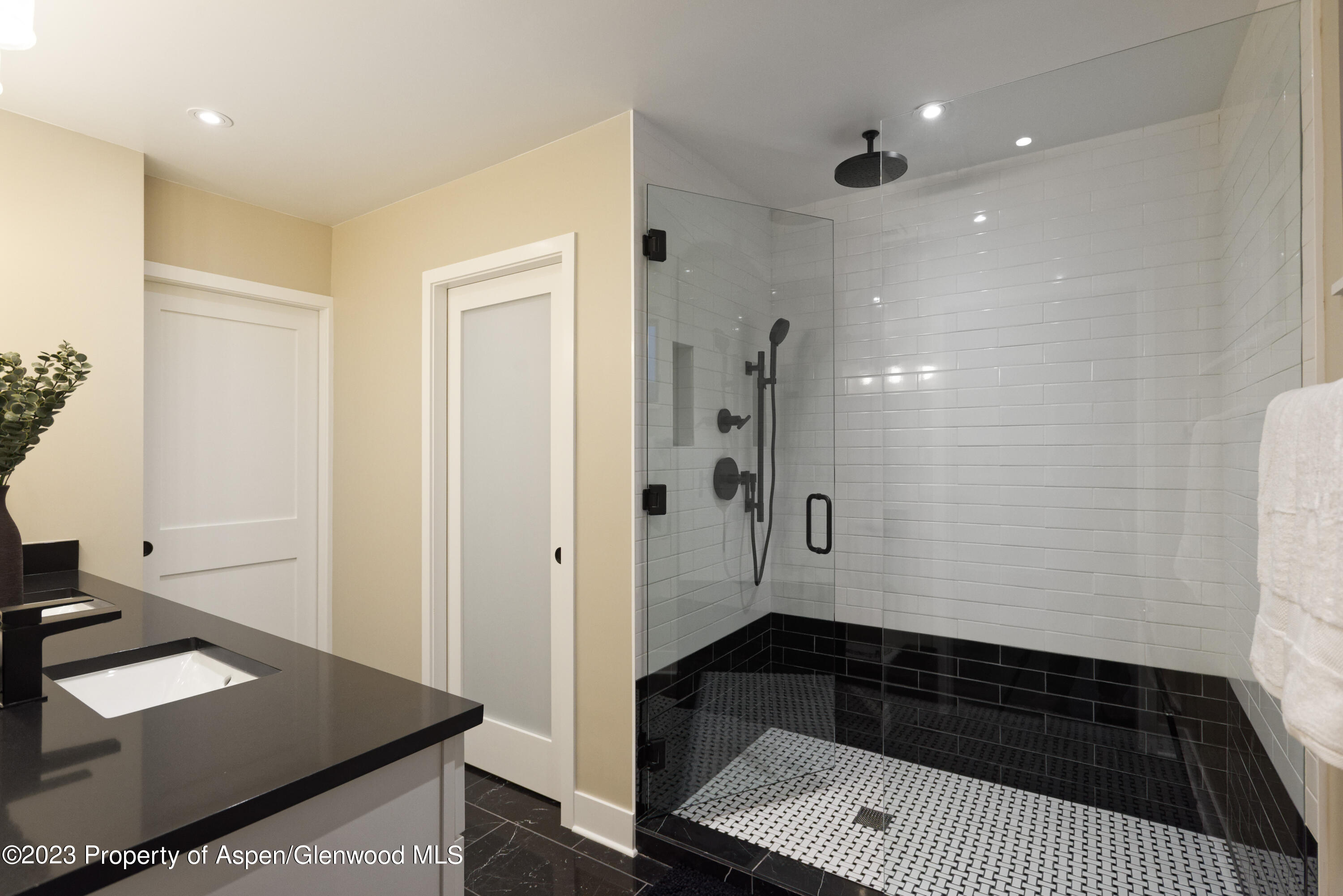 888 Horse Ranch Drive Snowmass Village CO 81615