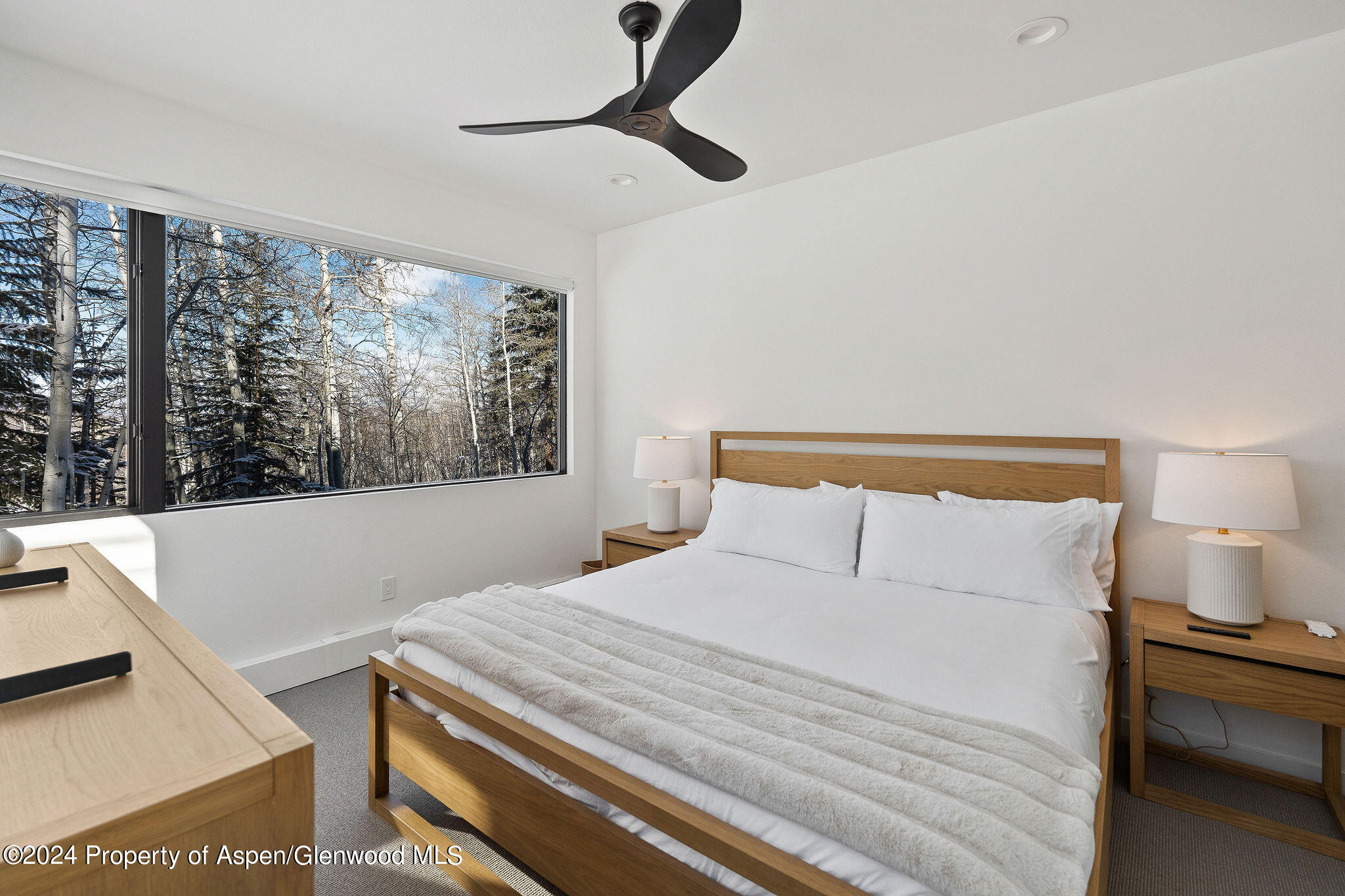 233 Stellar Lane Snowmass Village CO 81615