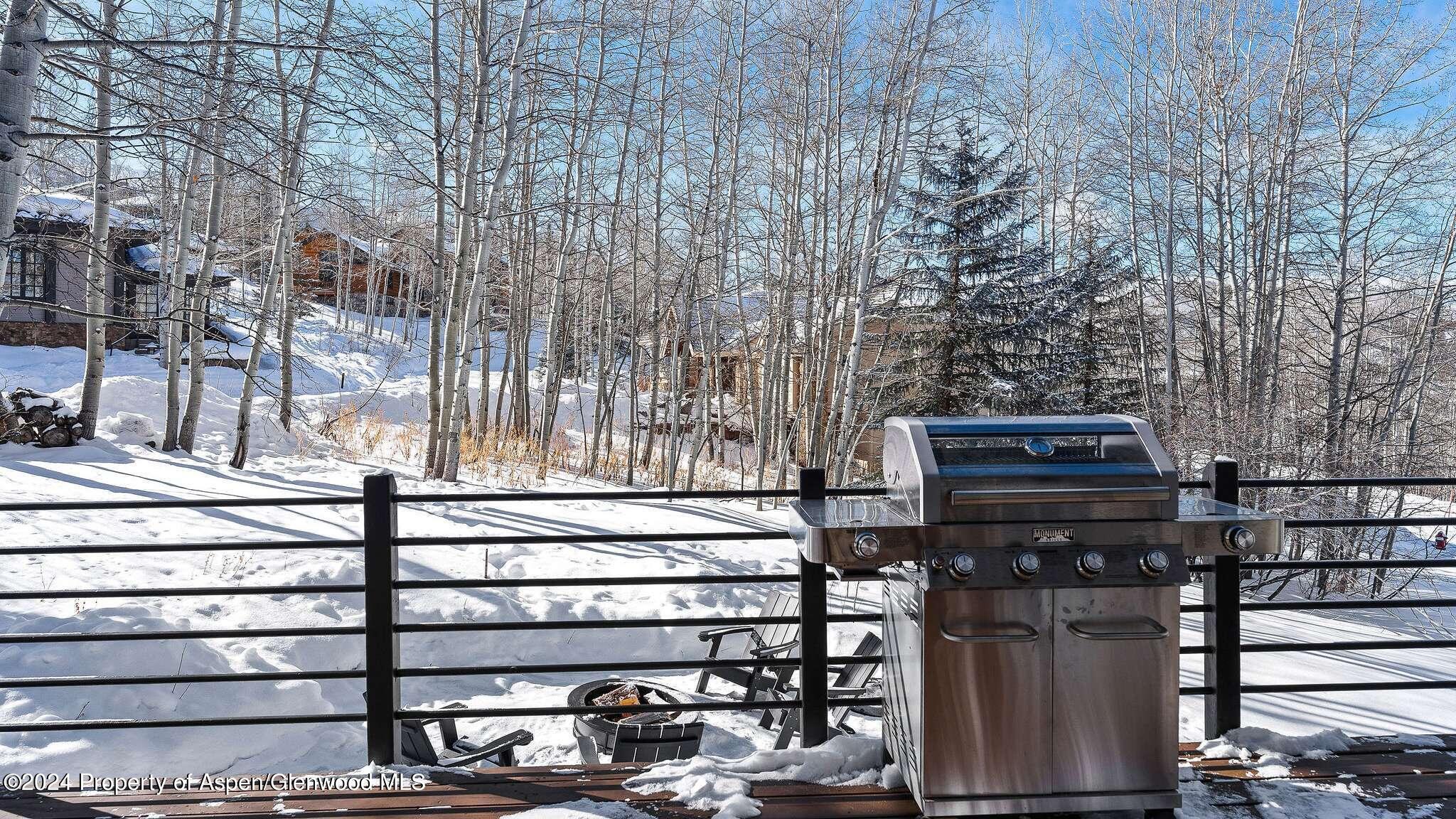 233 Stellar Lane Snowmass Village CO 81615