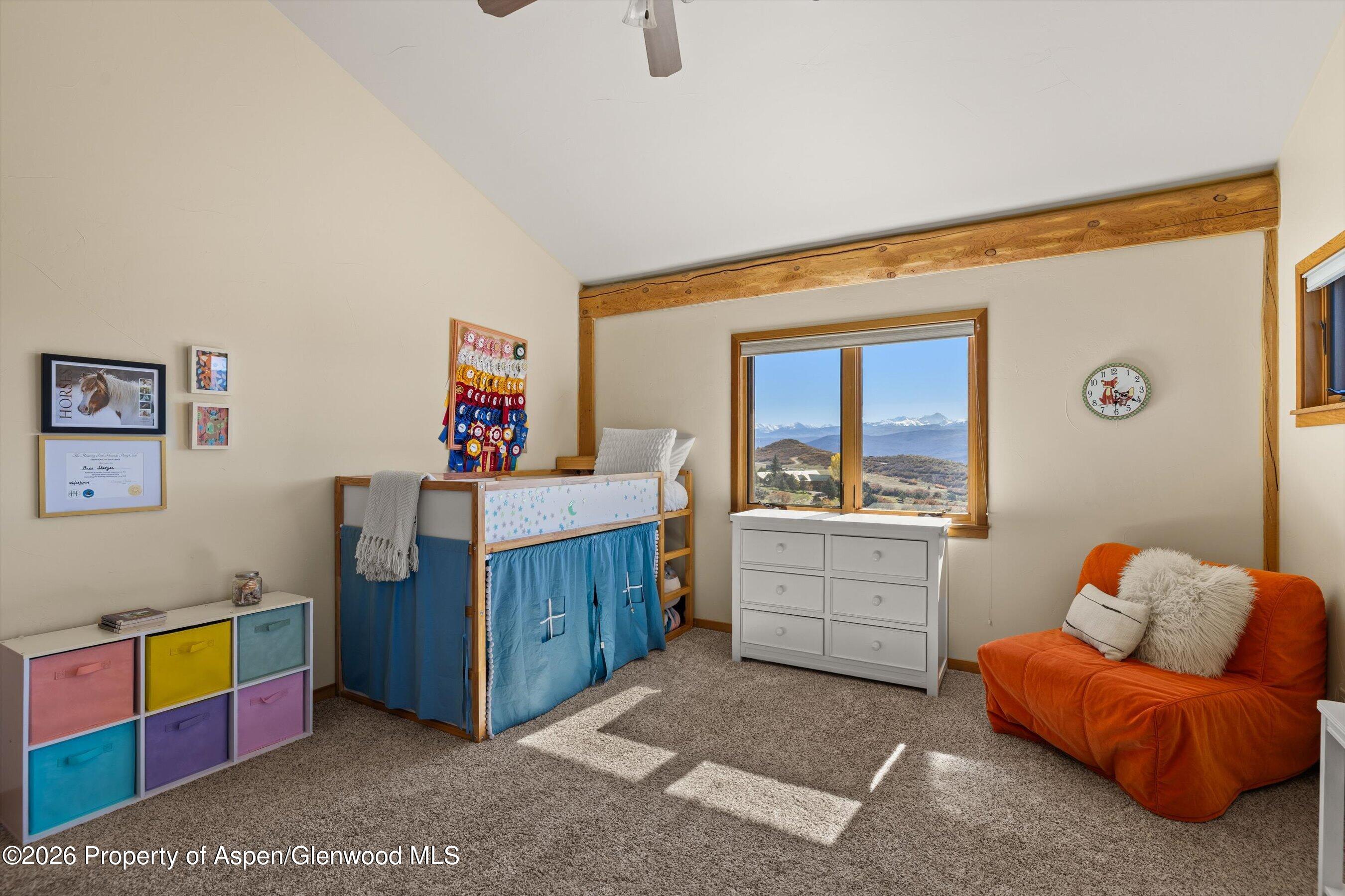 231 Buck Point Road Carbondale CO 81623