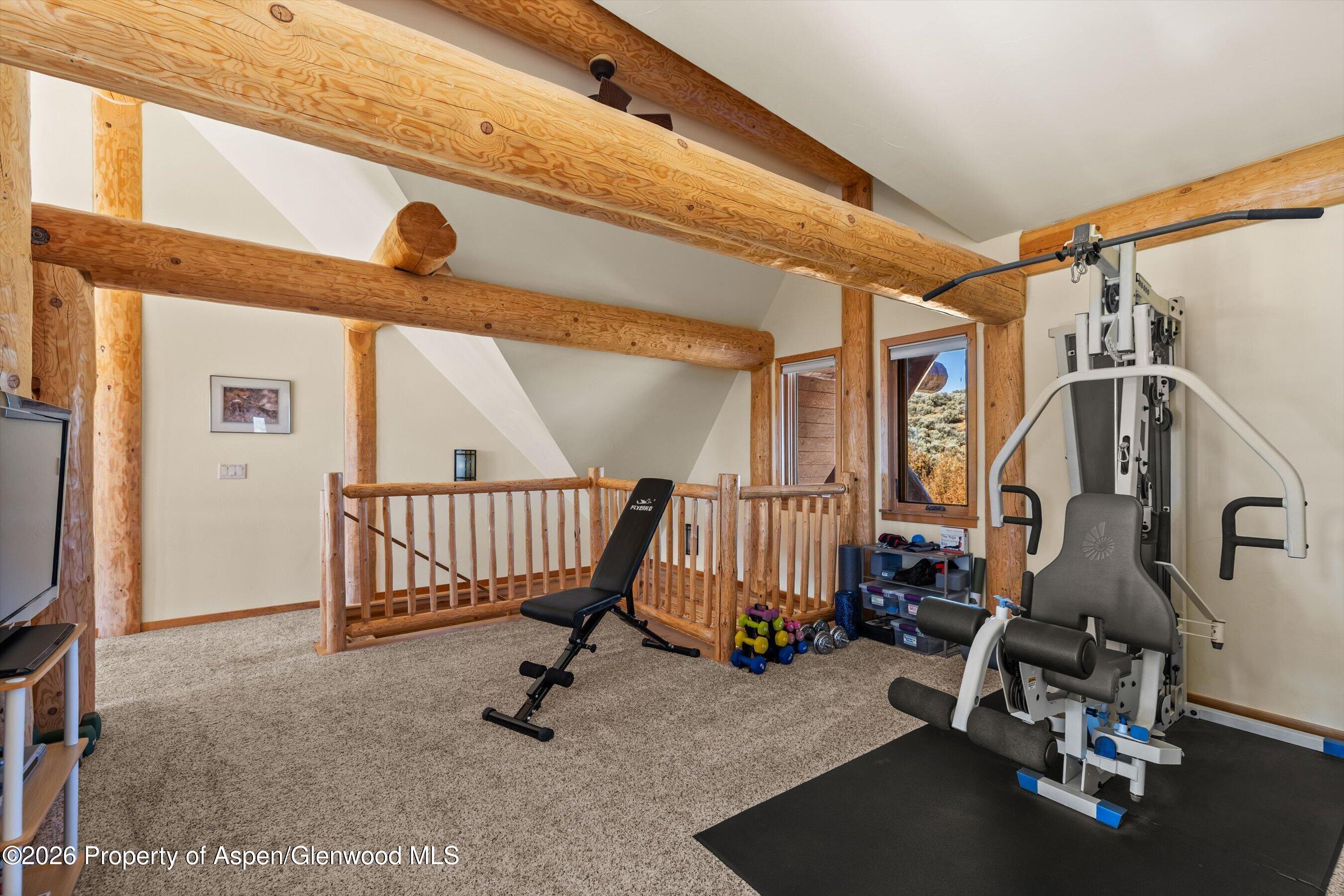 231 Buck Point Road Carbondale CO 81623