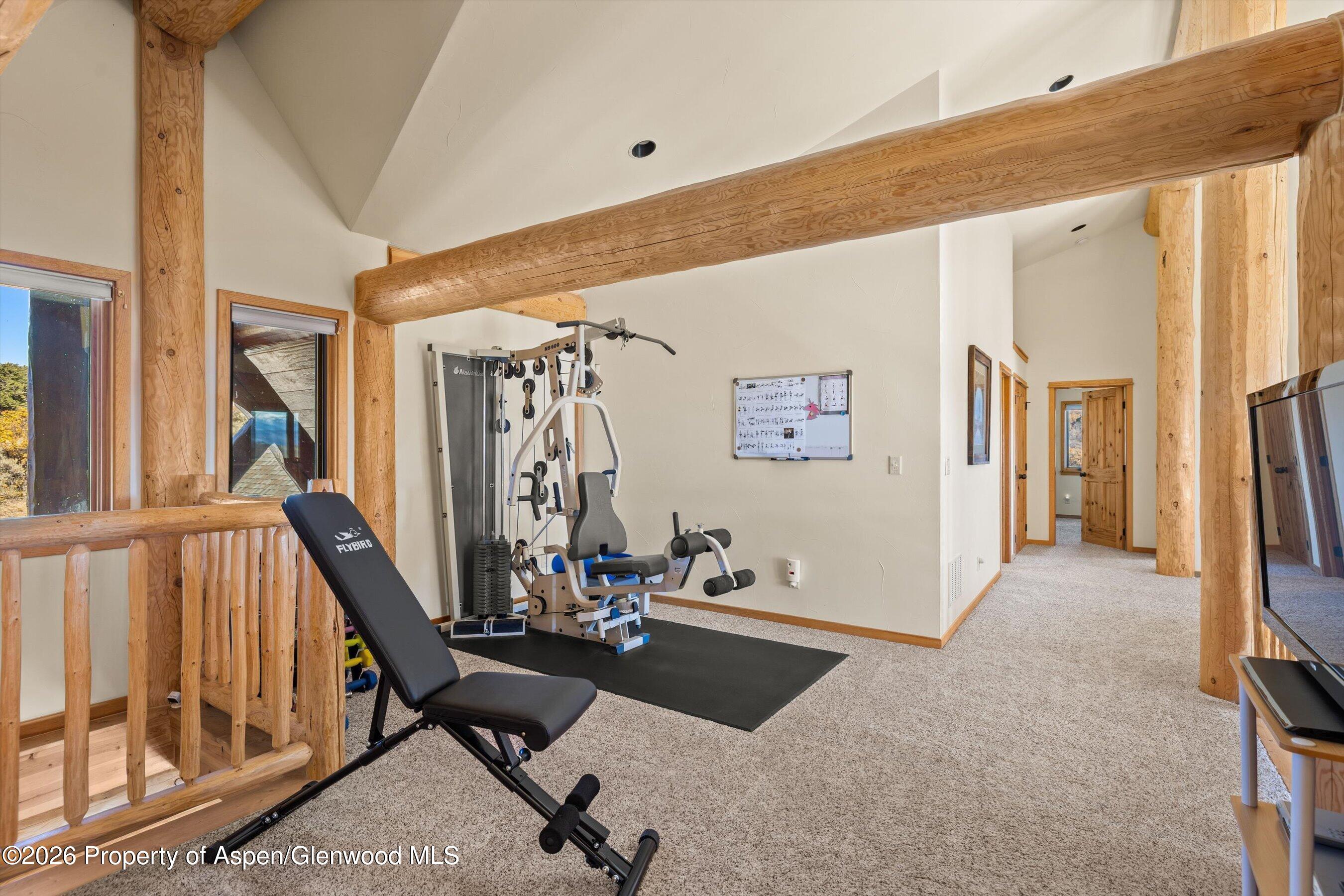 231 Buck Point Road Carbondale CO 81623