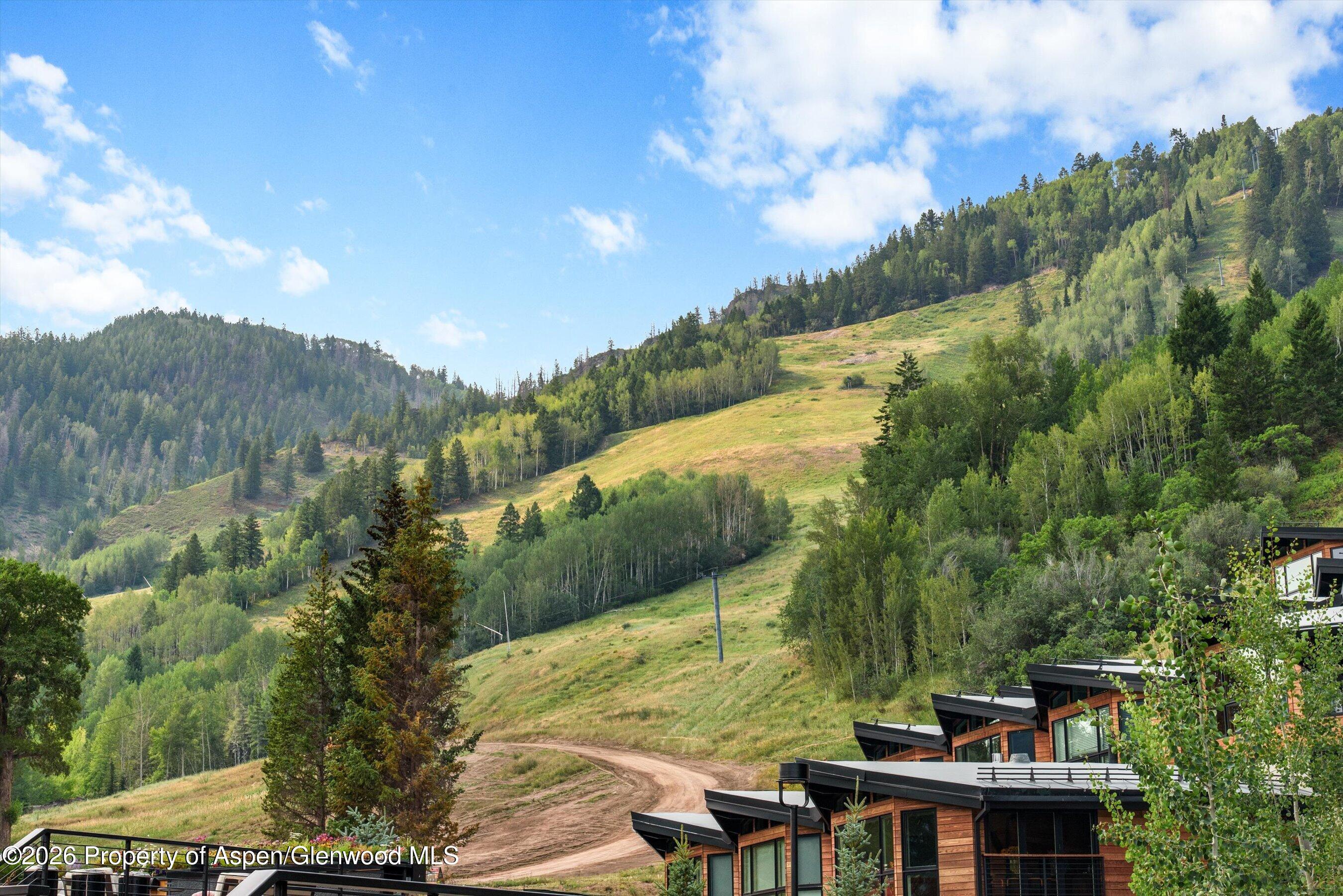755 S Aspen Street Aspen CO 81611