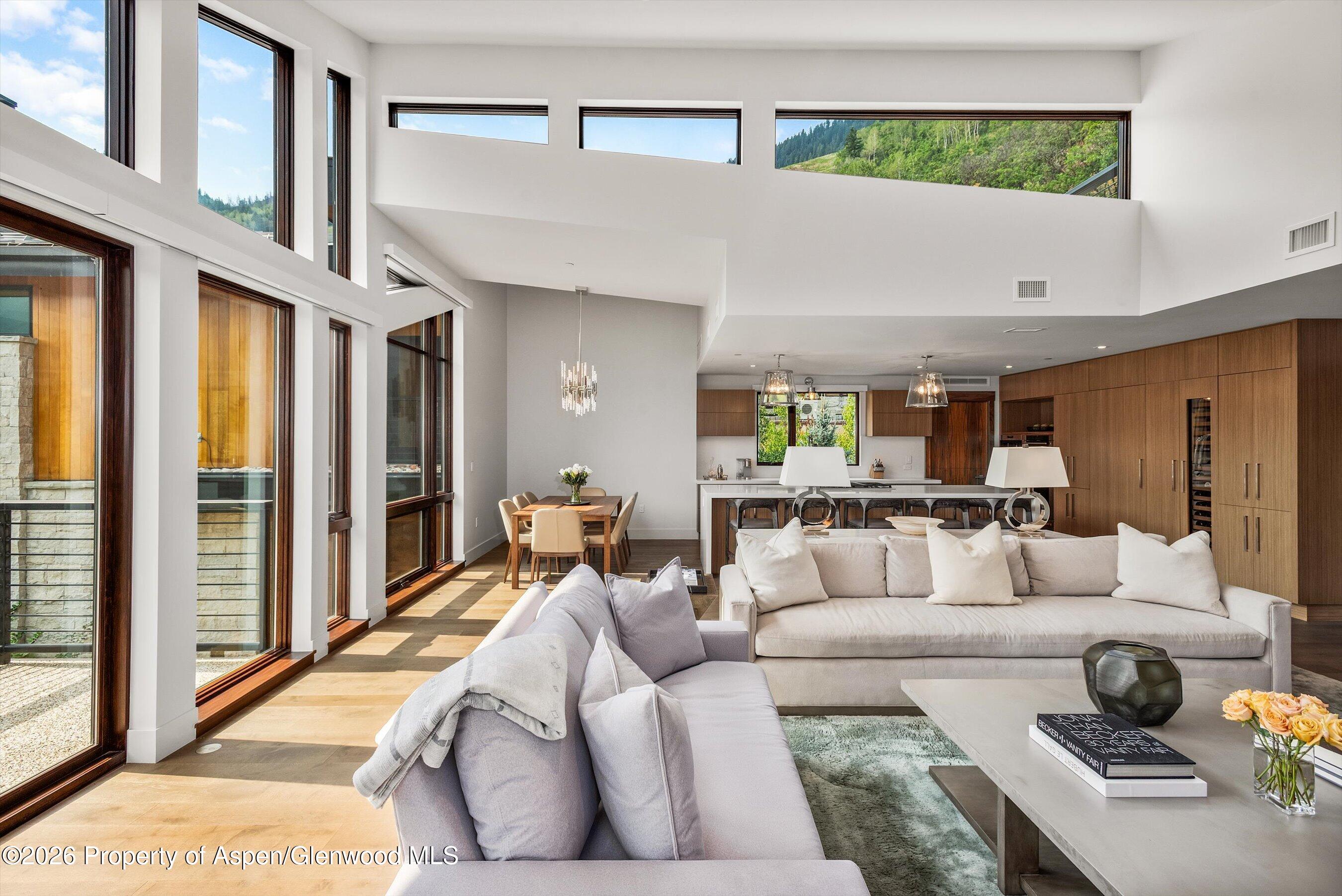 755 S Aspen Street Aspen CO 81611