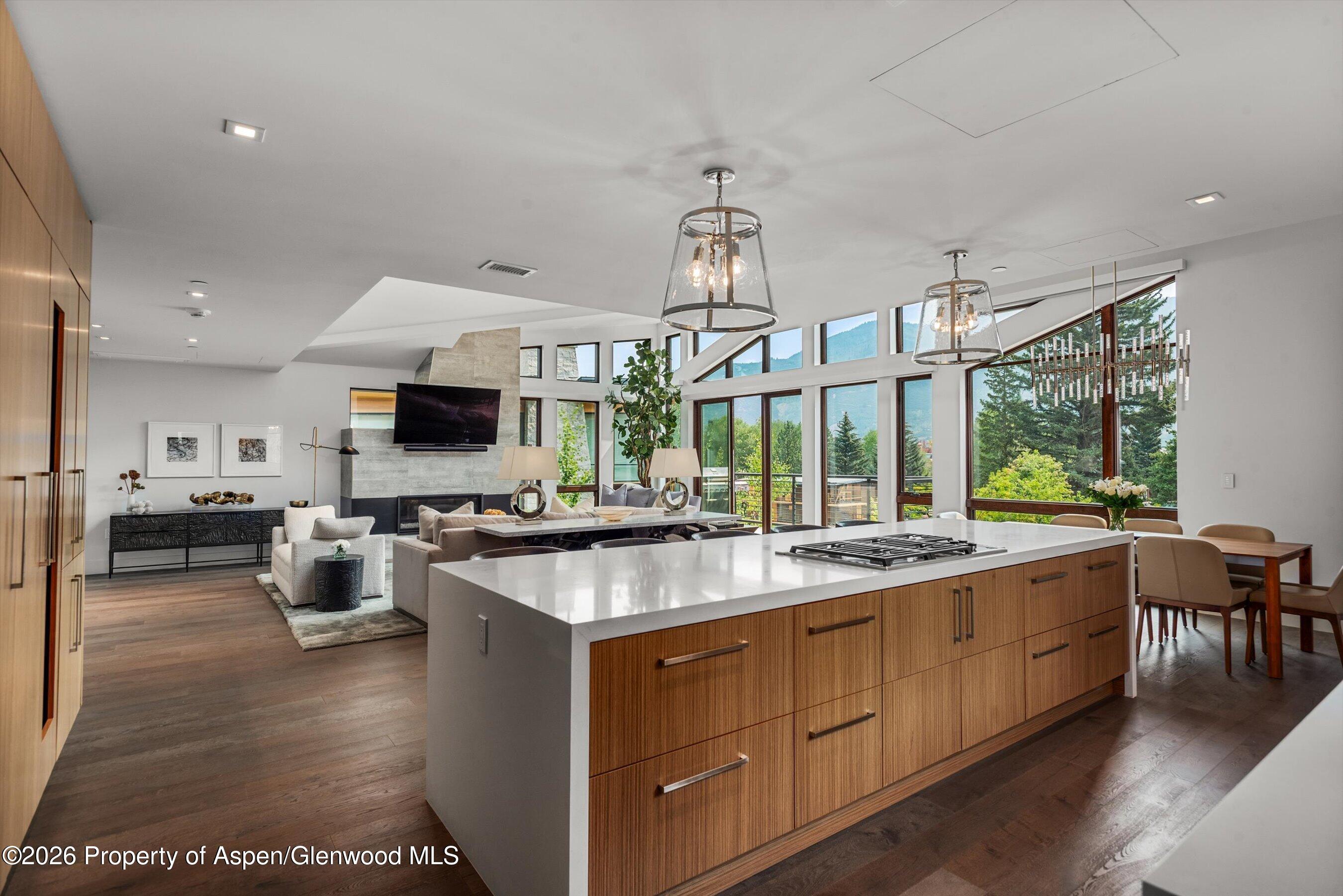 755 S Aspen Street Aspen CO 81611