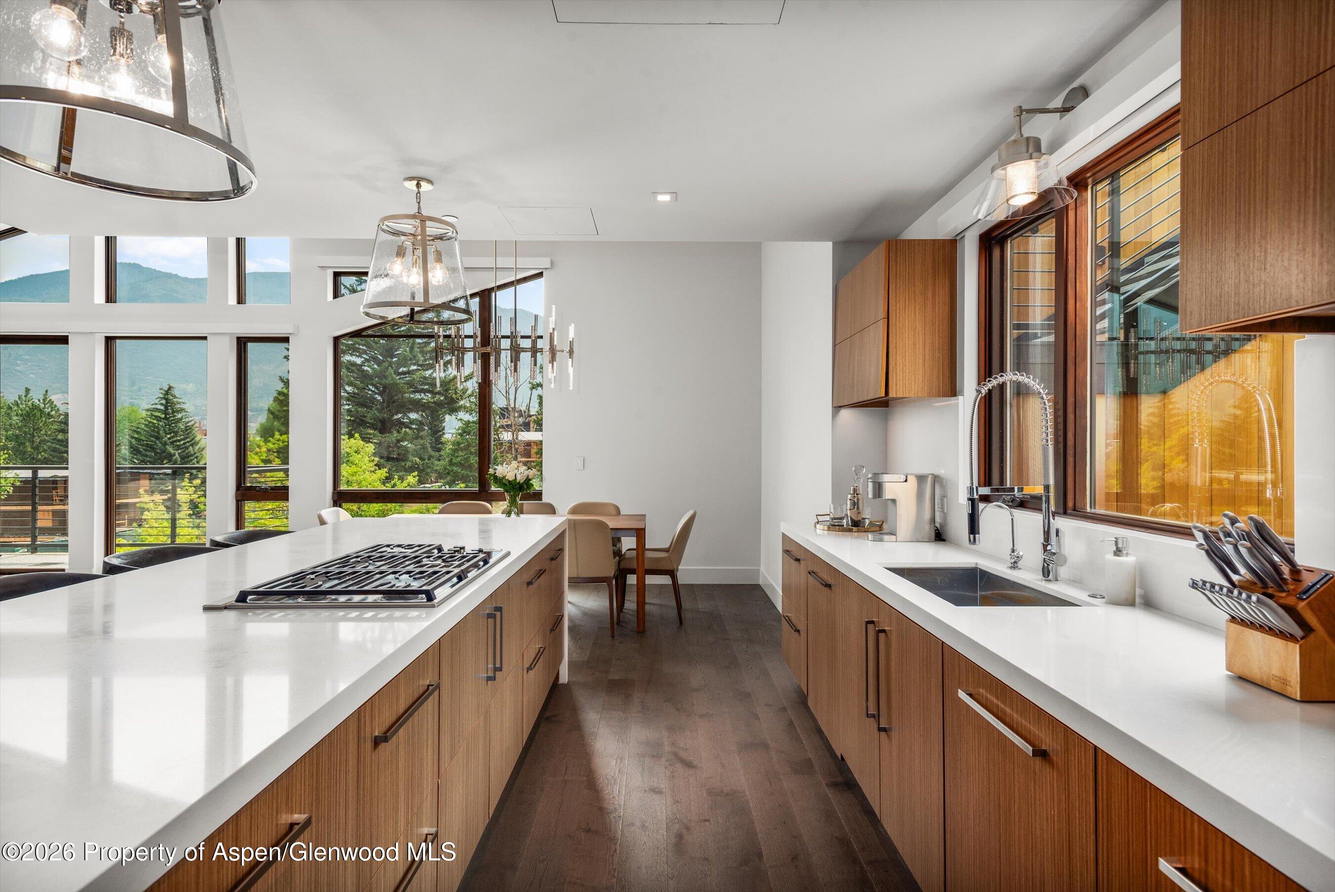 755 S Aspen Street Aspen CO 81611