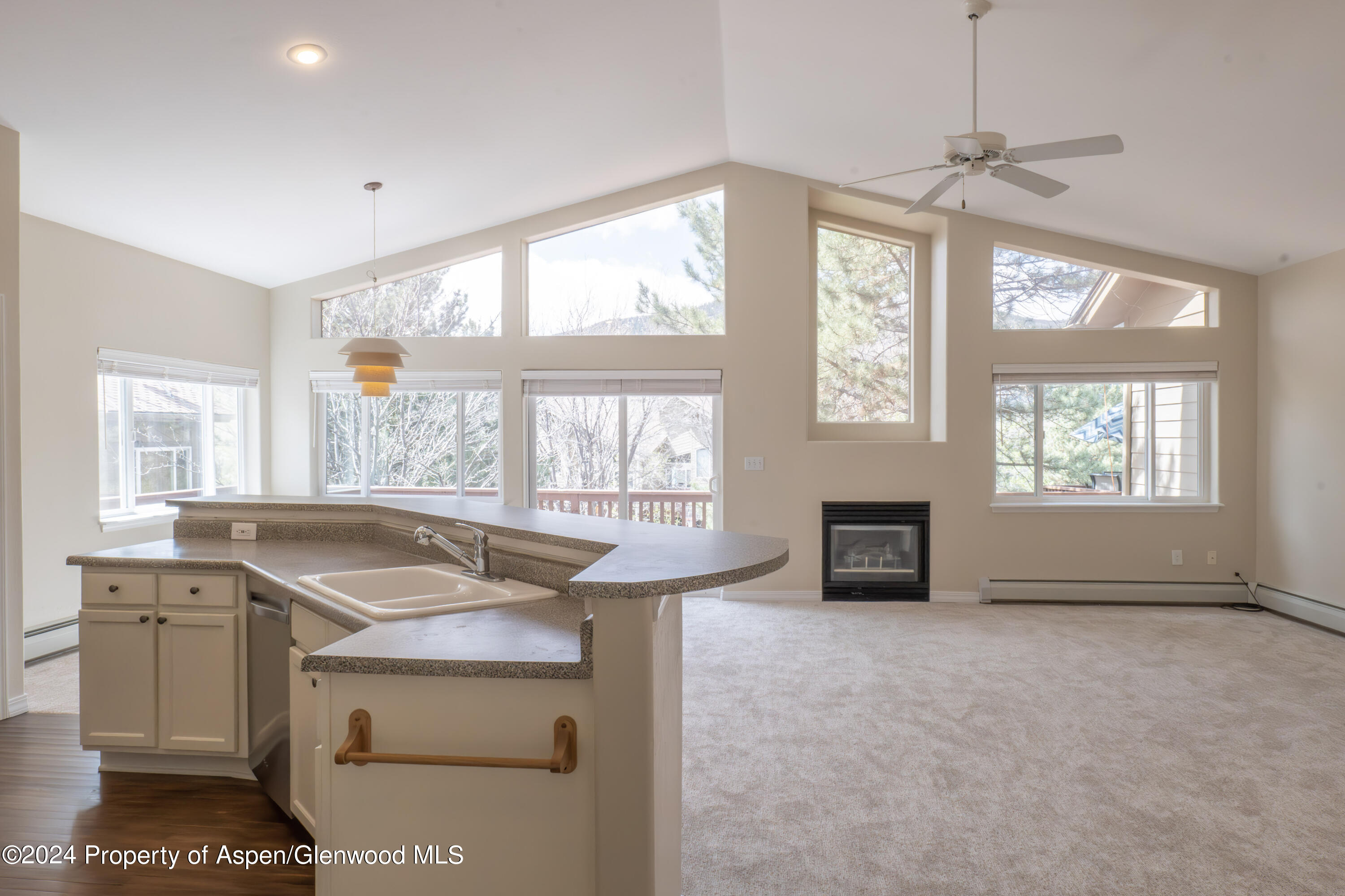 4 Pine Ridge Road Basalt CO 81621