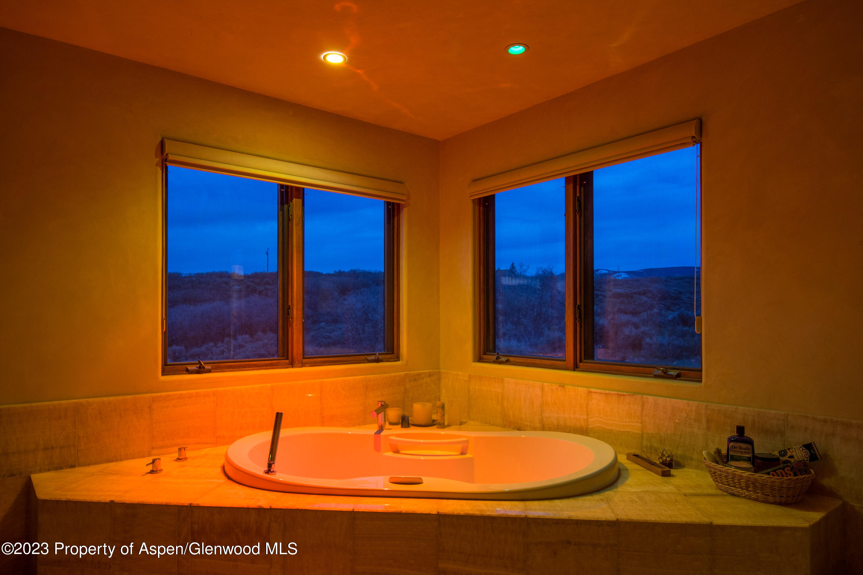 712 Buck Point Road Carbondale CO 81623