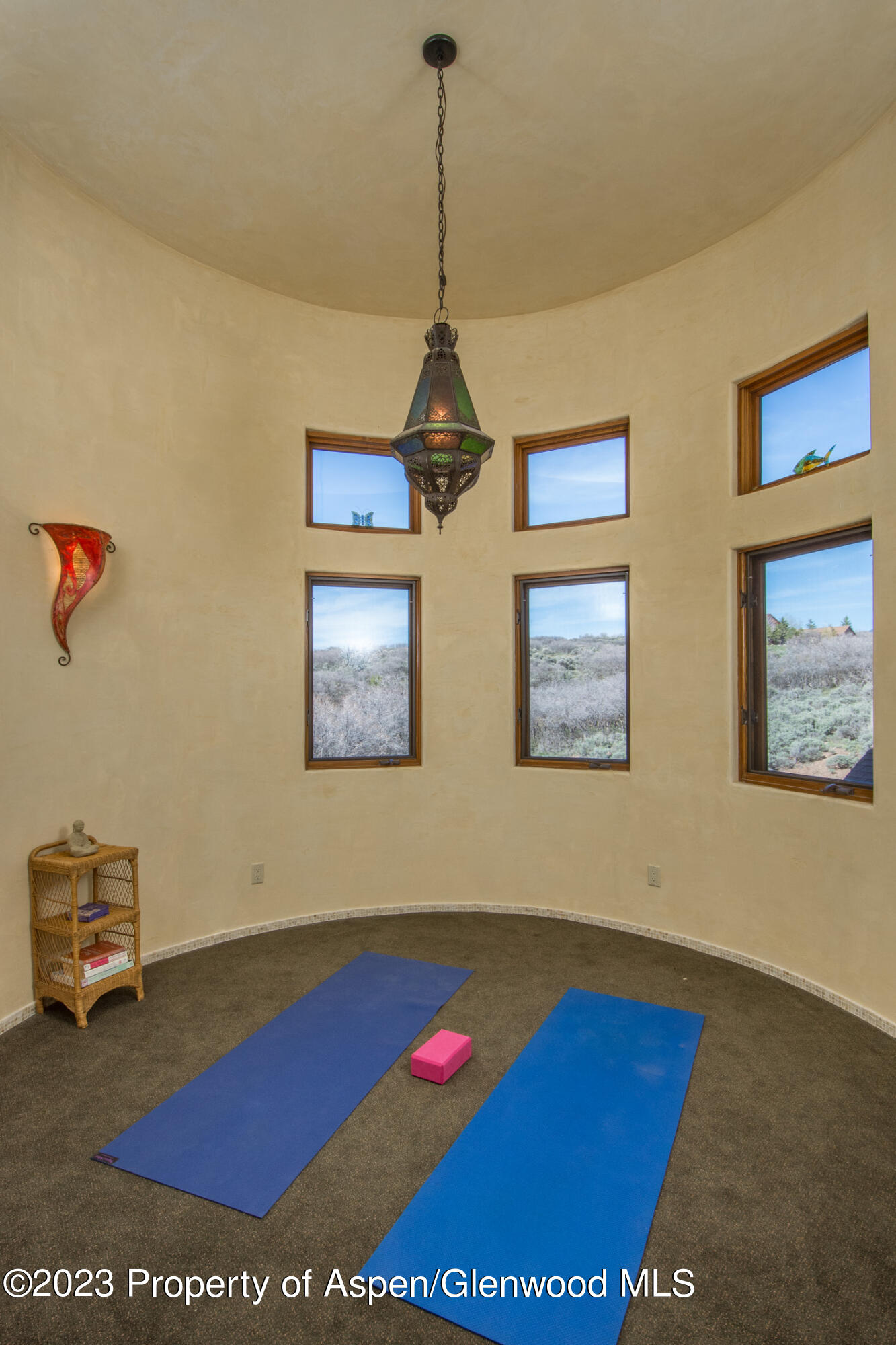 712 Buck Point Road Carbondale CO 81623