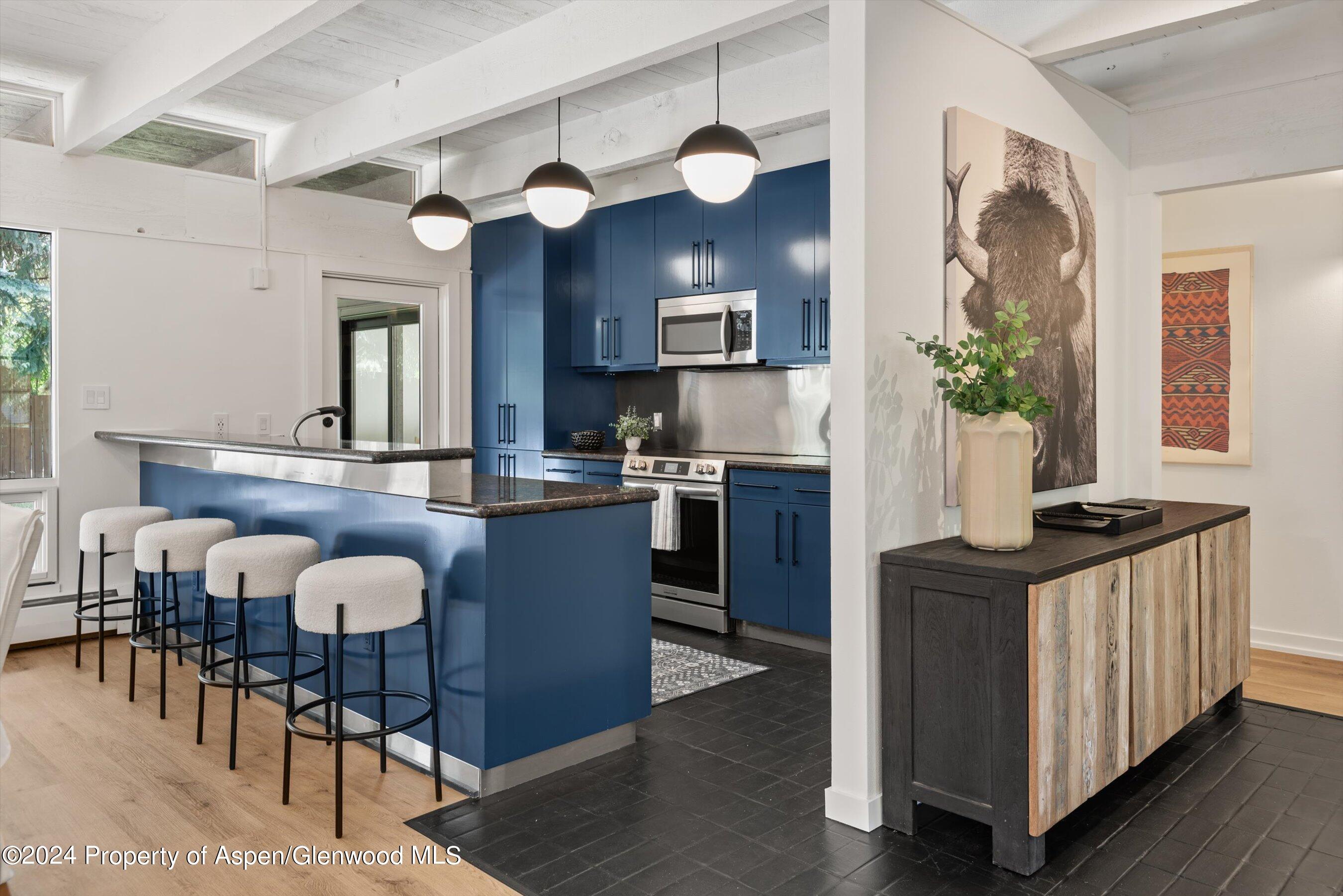 501 W Bleeker Street Aspen CO 81611