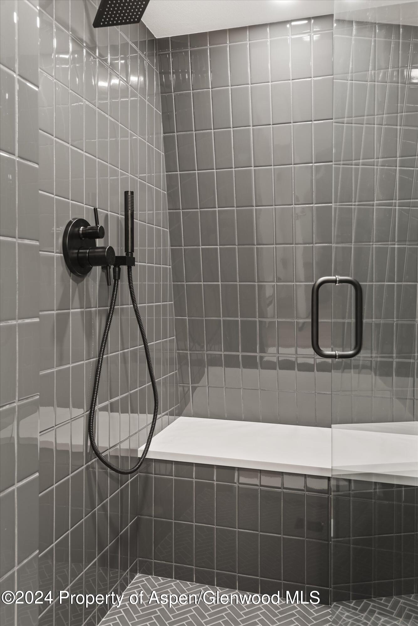 501 W Bleeker Street Aspen CO 81611