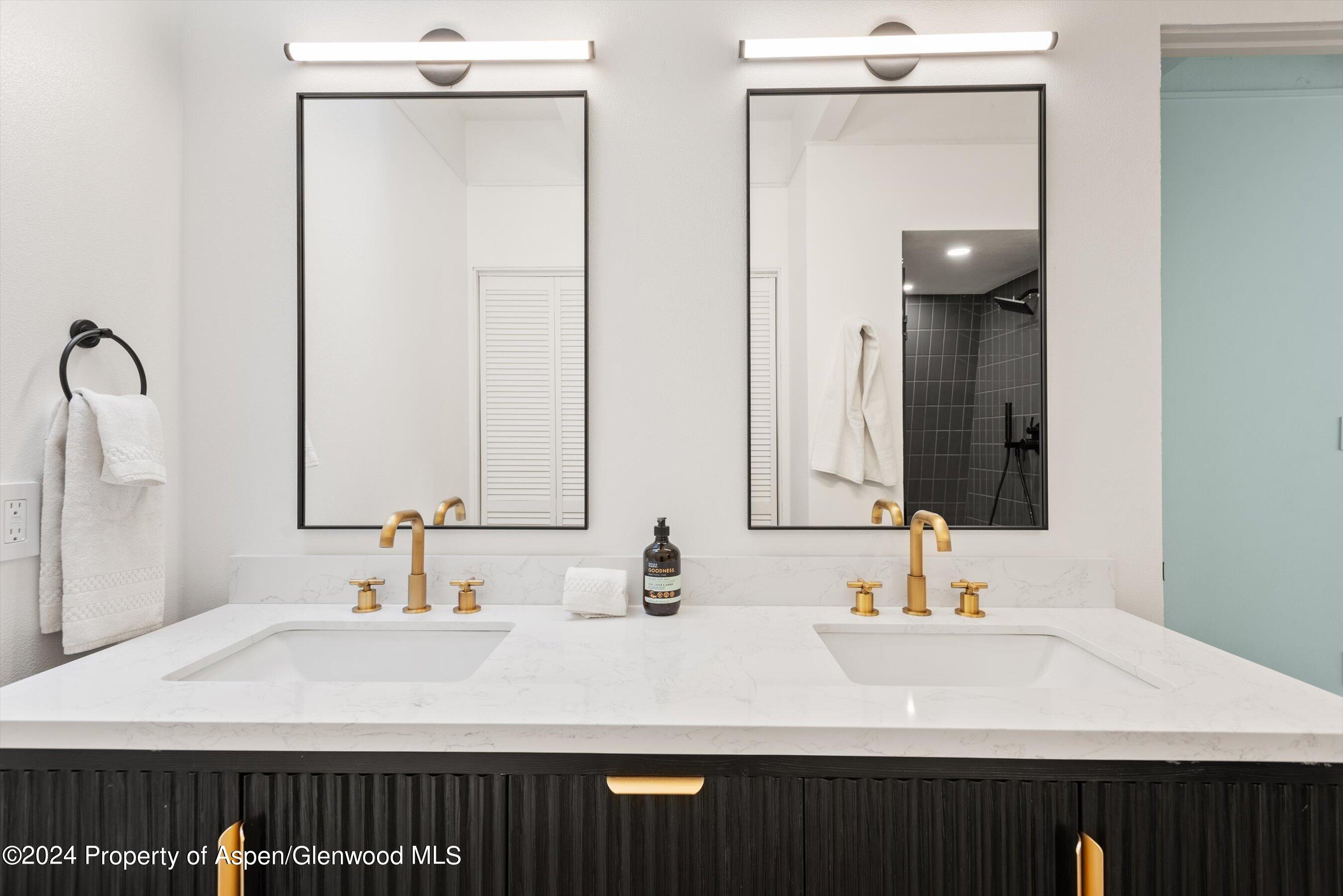 501 W Bleeker Street Aspen CO 81611