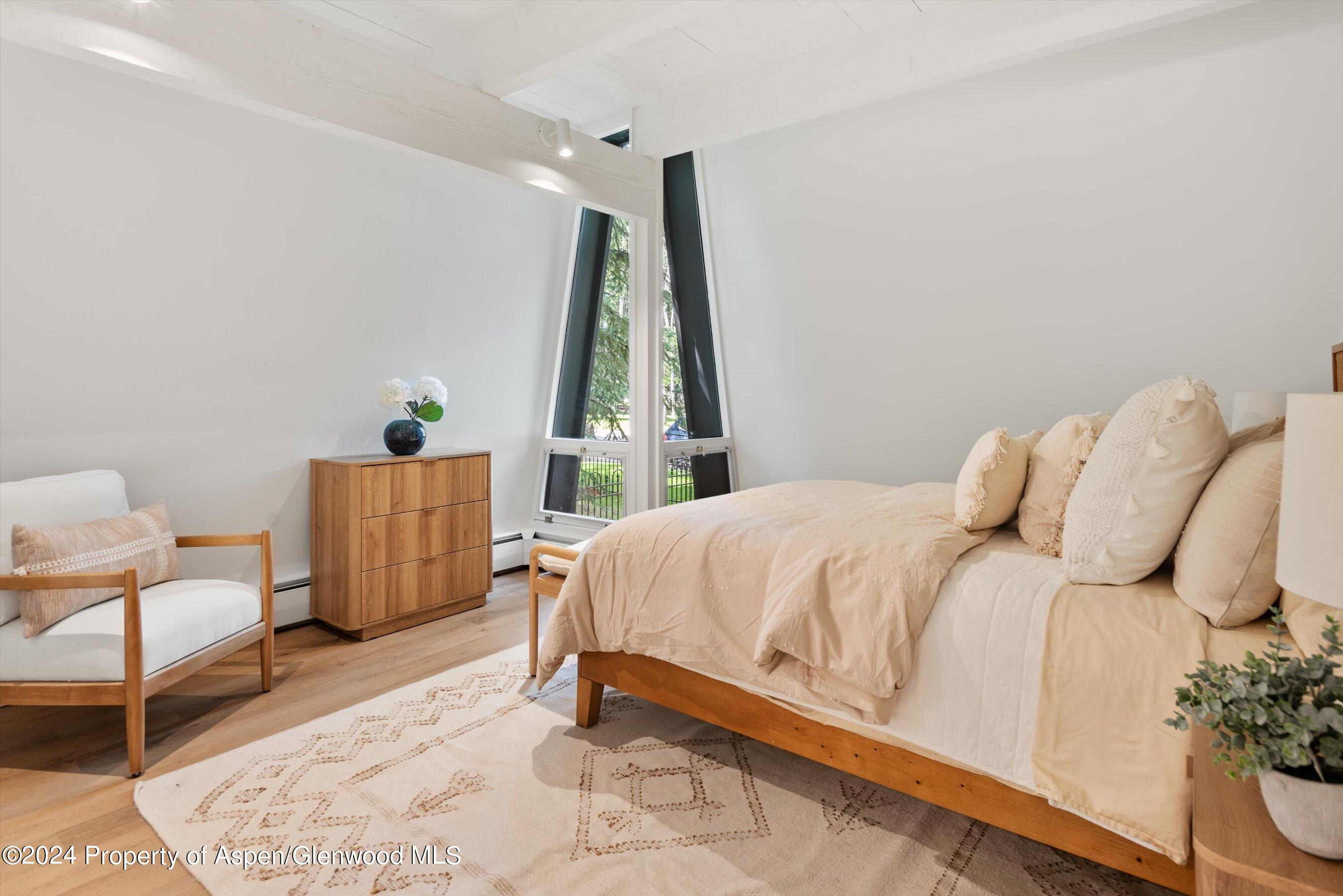 501 W Bleeker Street Aspen CO 81611