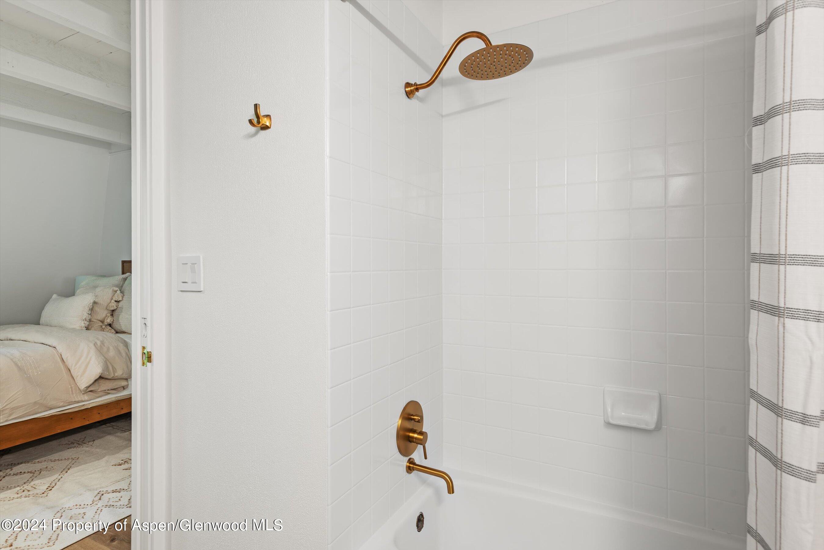 501 W Bleeker Street Aspen CO 81611