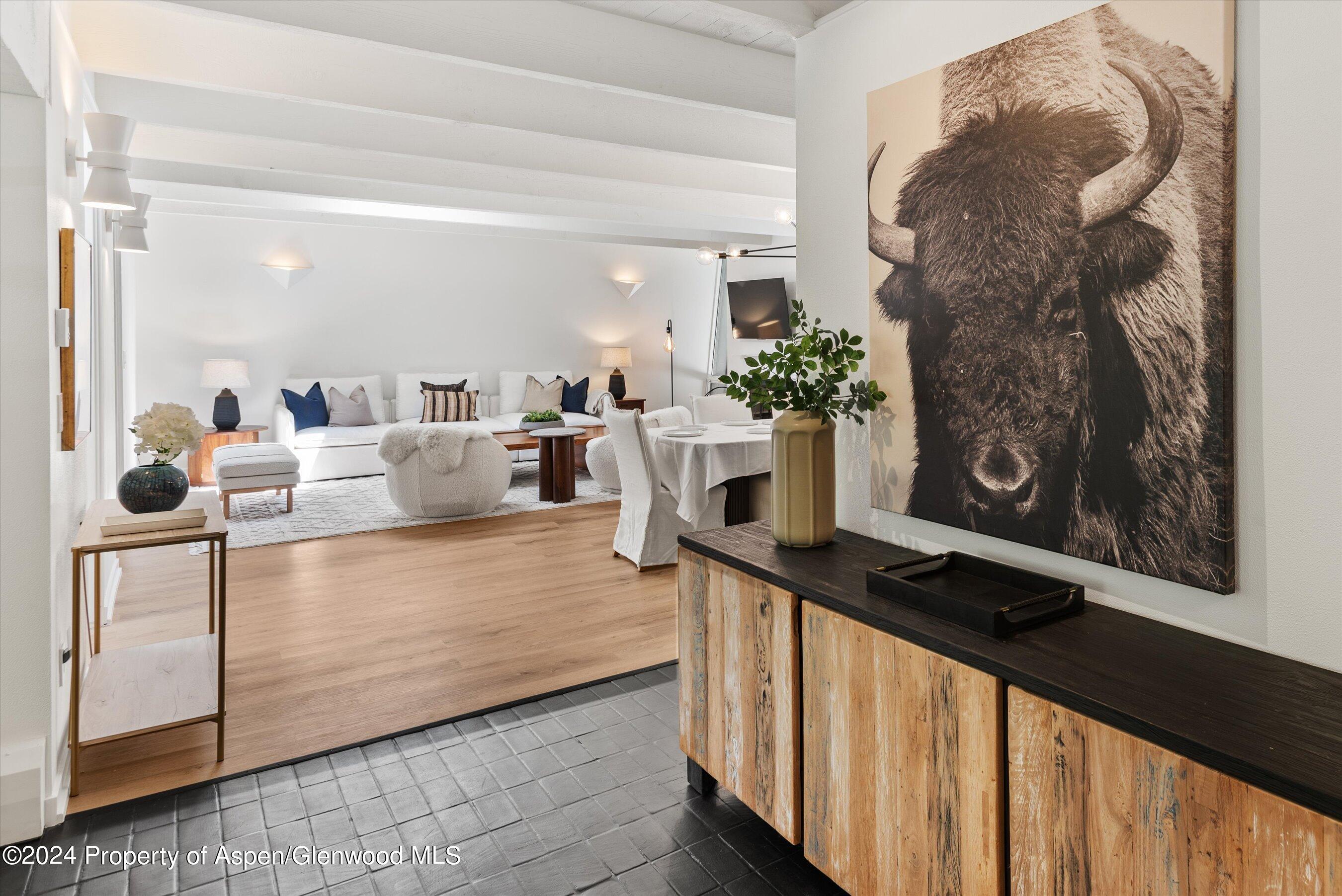 501 W Bleeker Street Aspen CO 81611