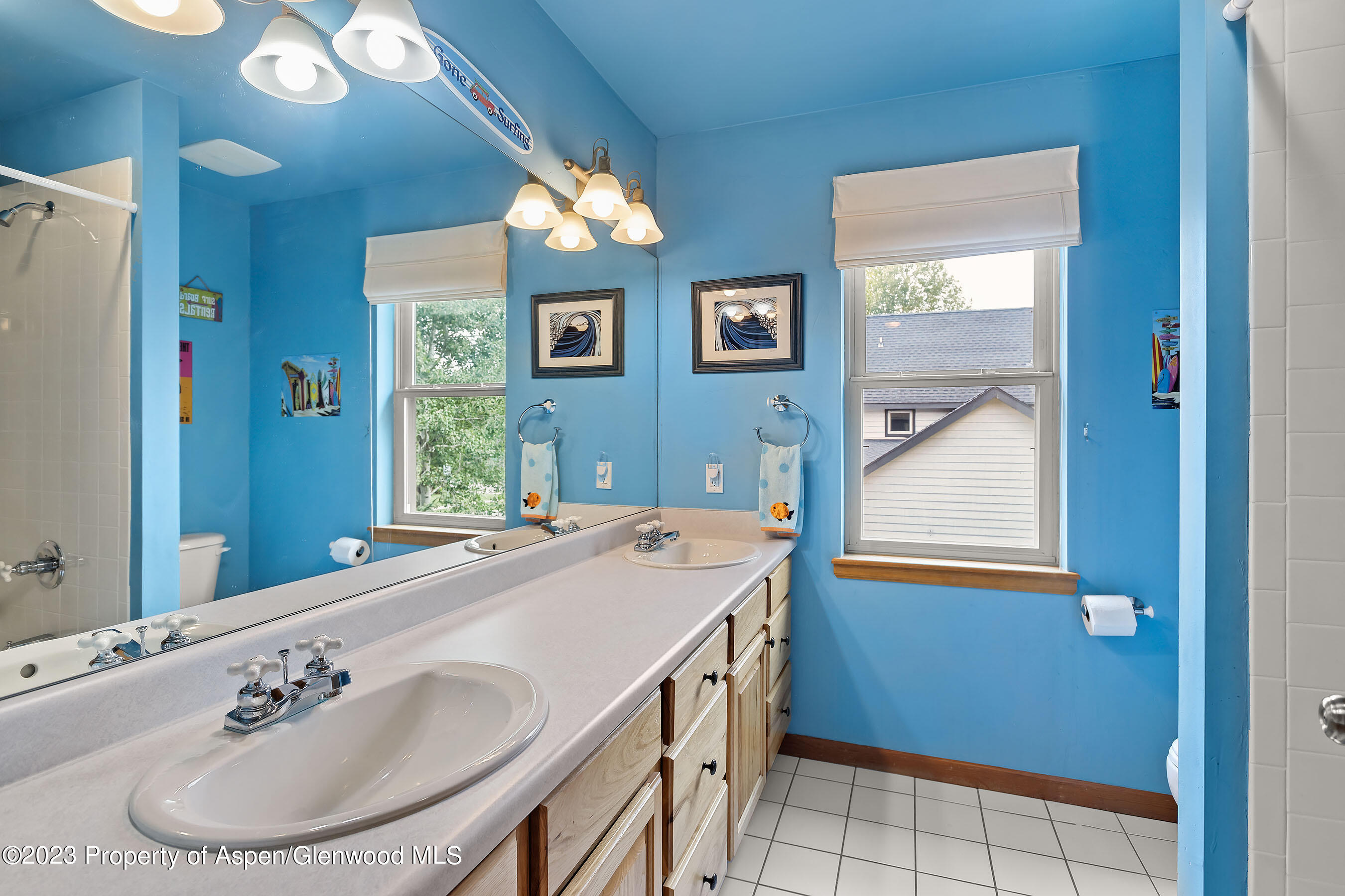 408 Meadow Court Basalt CO 81621