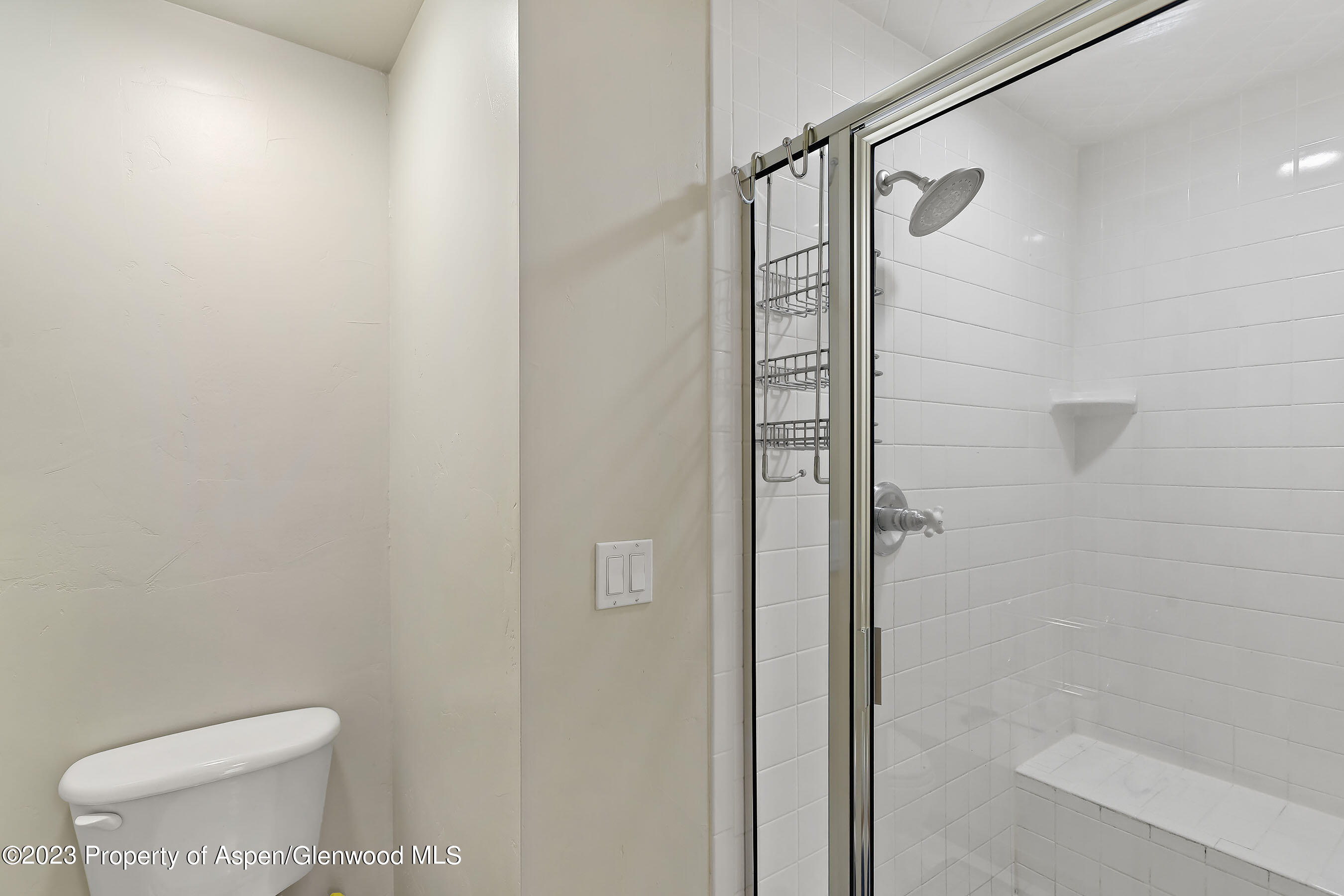 408 Meadow Court Basalt CO 81621