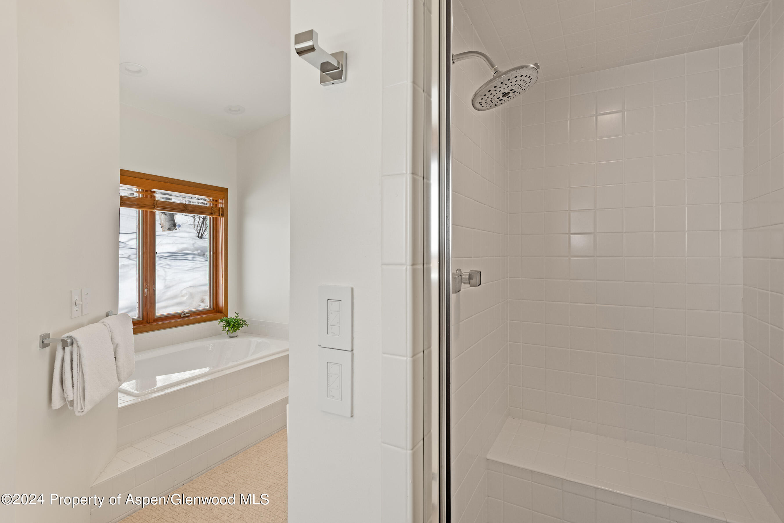 126 Edgewood Lane Snowmass Village CO 81615