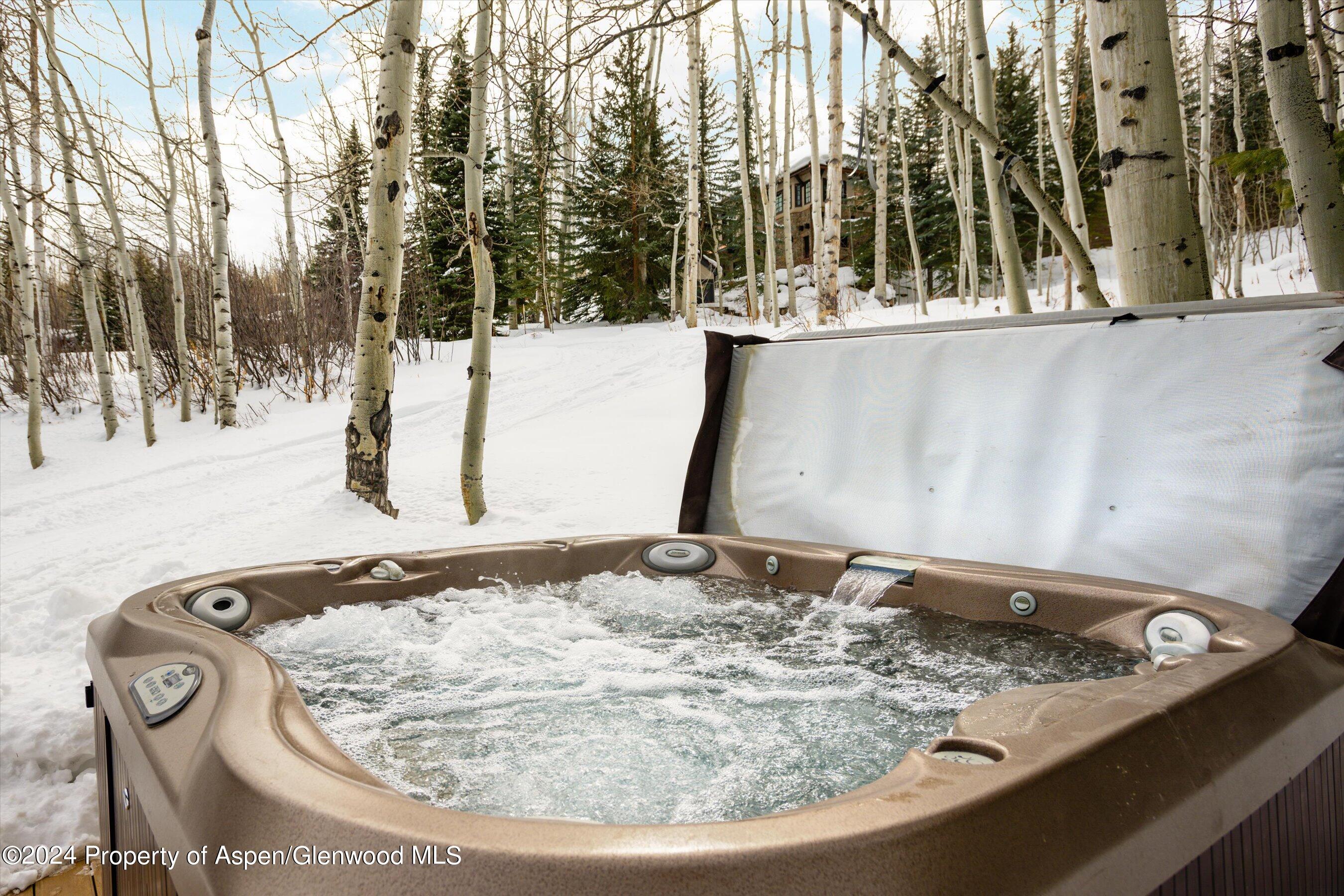 126 Edgewood Lane Snowmass Village CO 81615