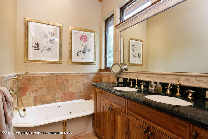 1243 E Cooper Street Aspen CO 81611