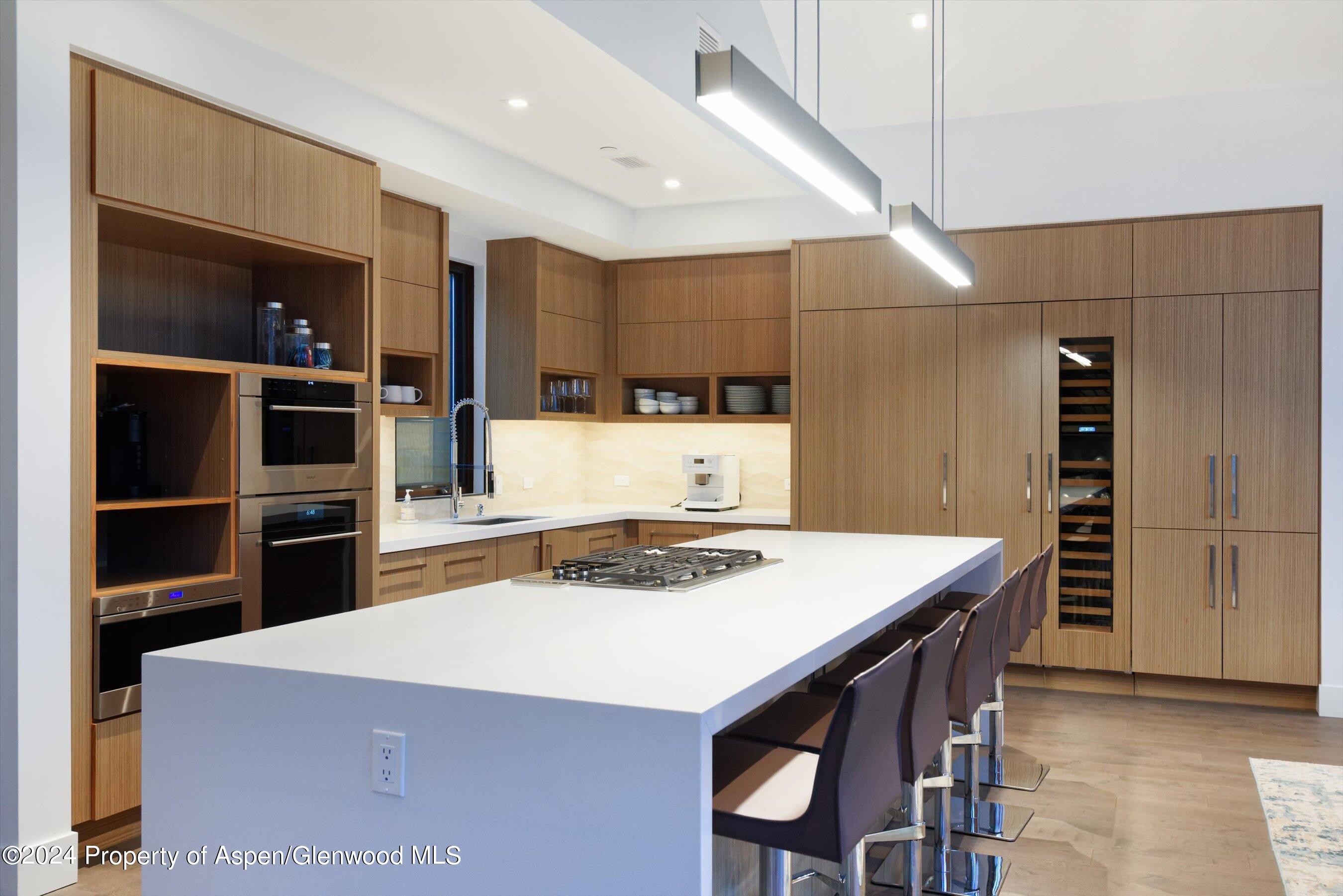 717 S Aspen Street Aspen CO 81611