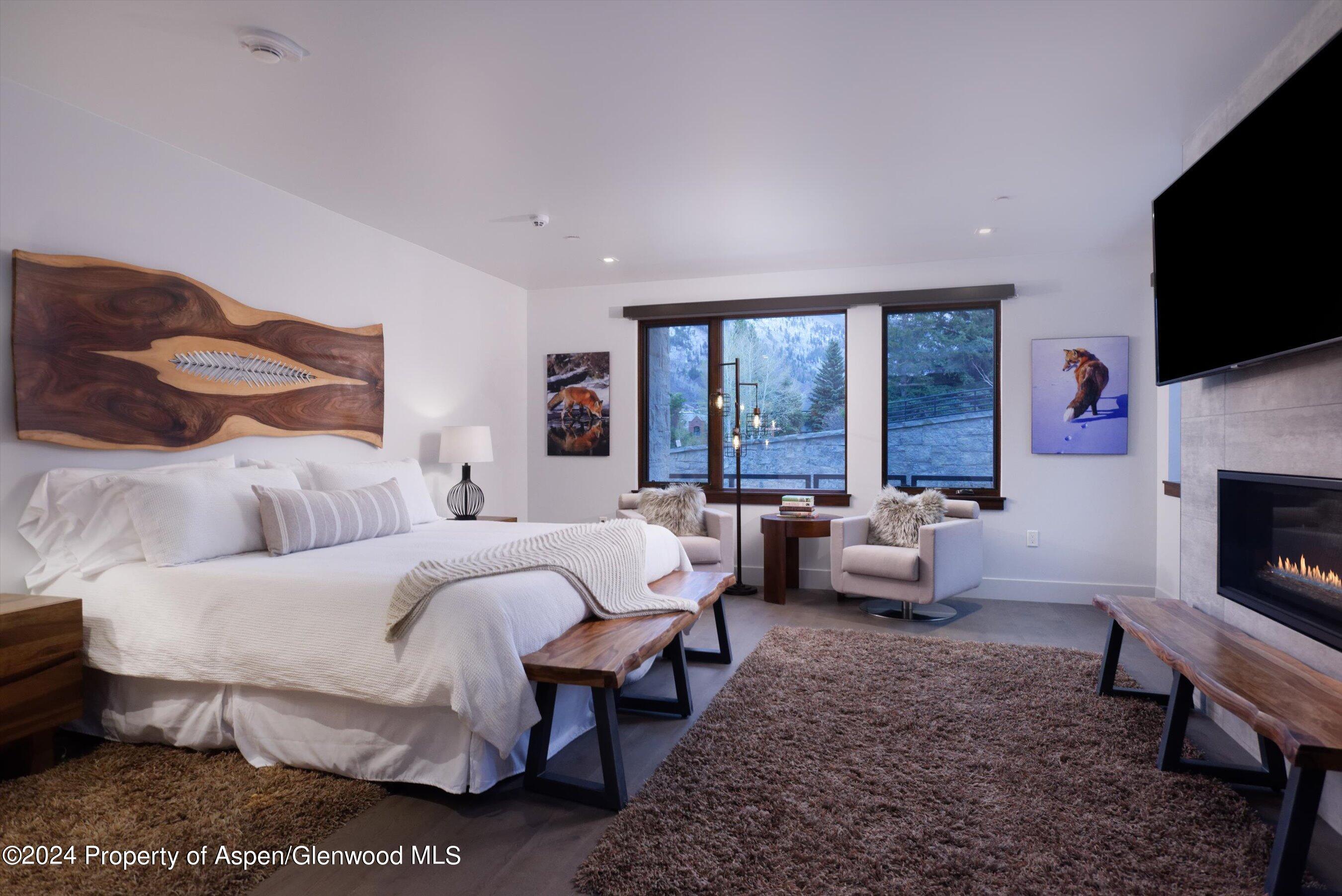 717 S Aspen Street Aspen CO 81611