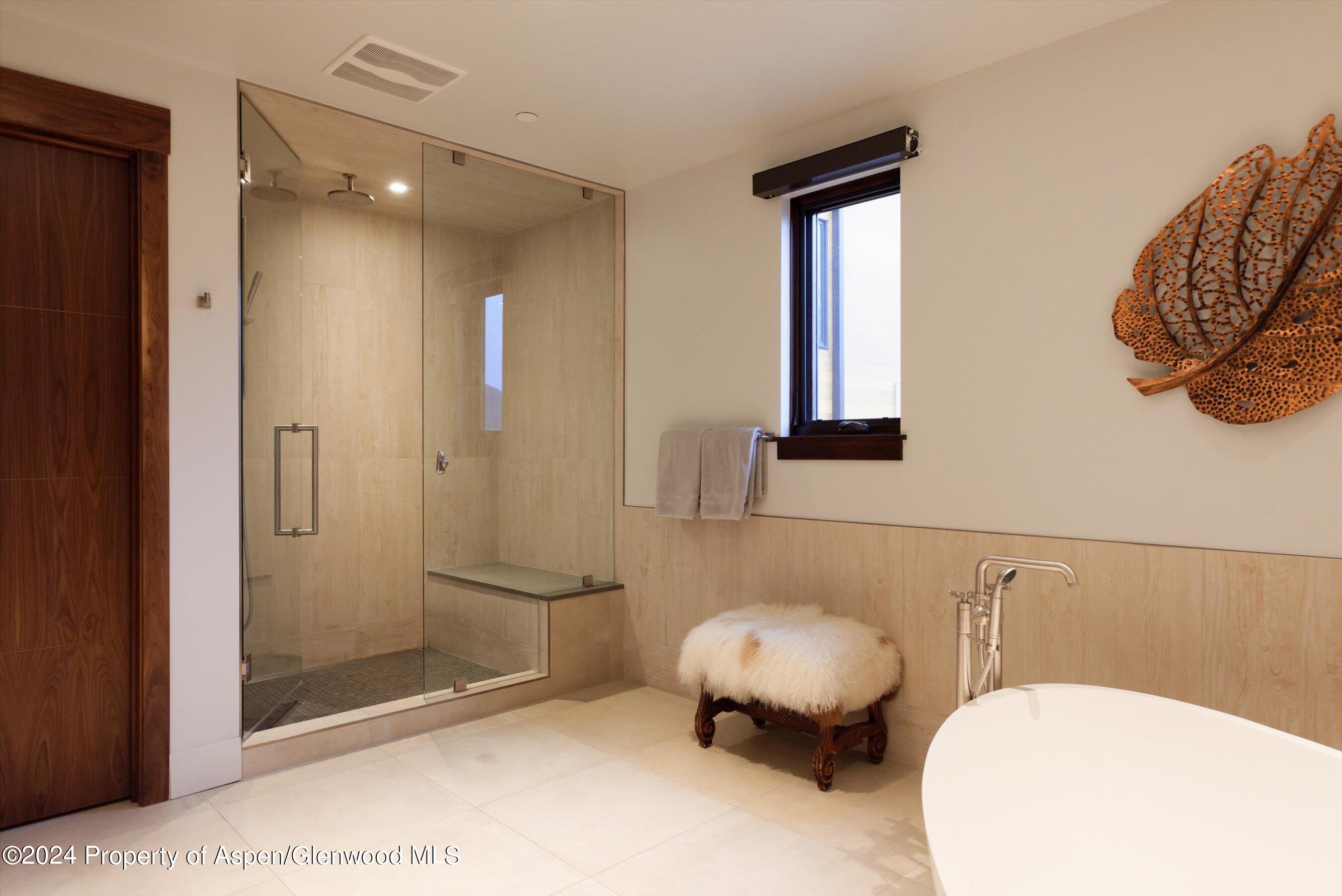 717 S Aspen Street Aspen CO 81611