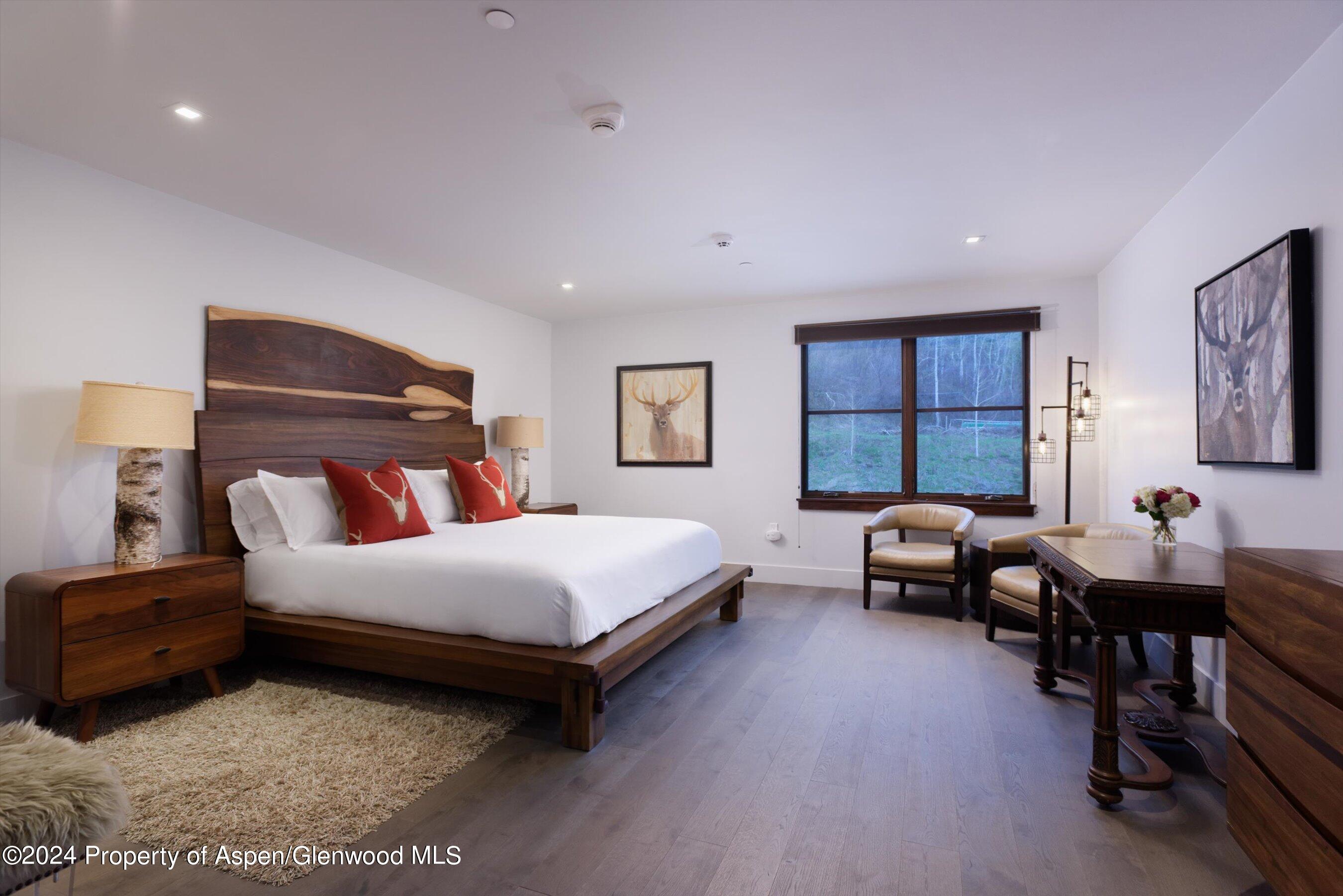 717 S Aspen Street Aspen CO 81611