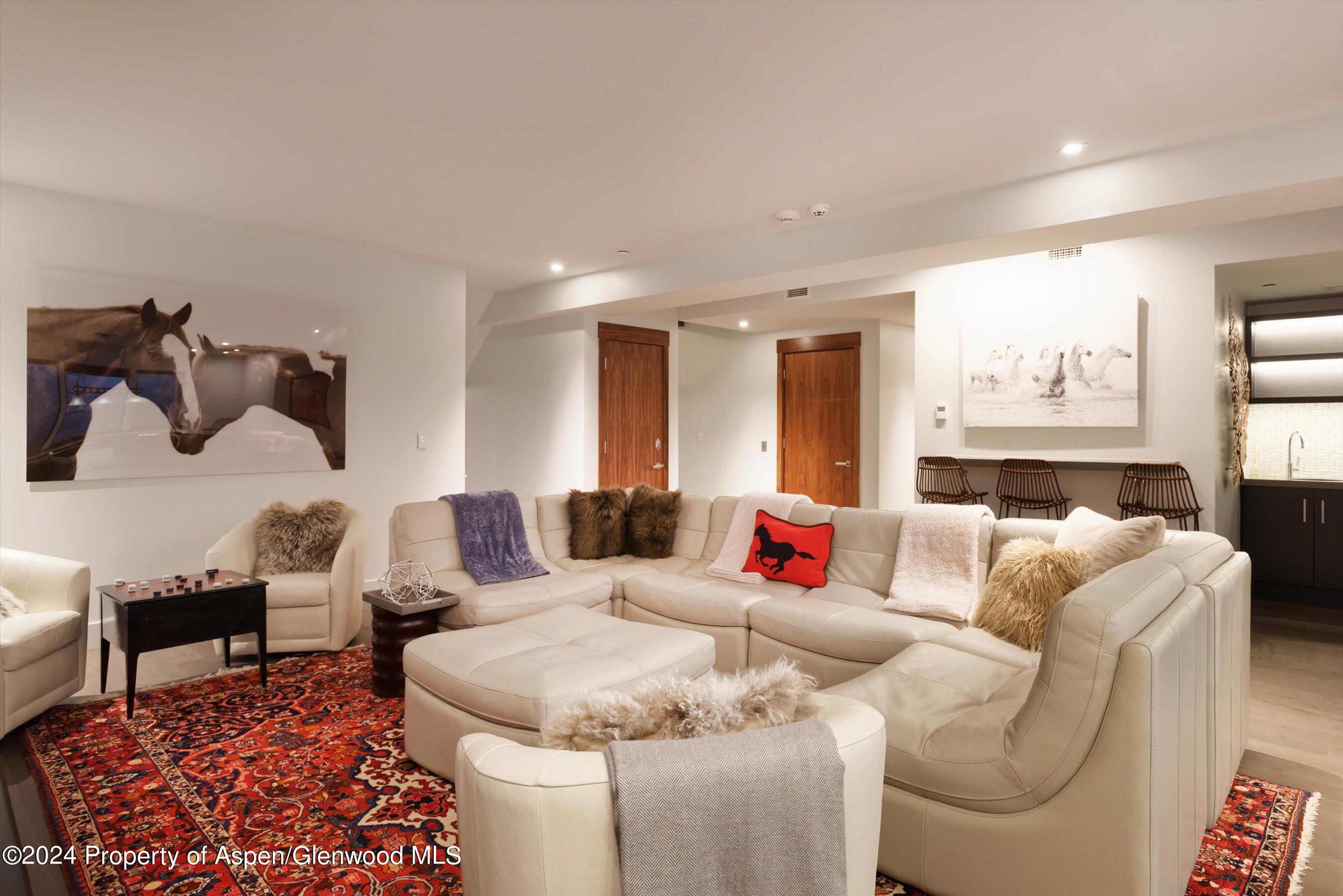 717 S Aspen Street Aspen CO 81611