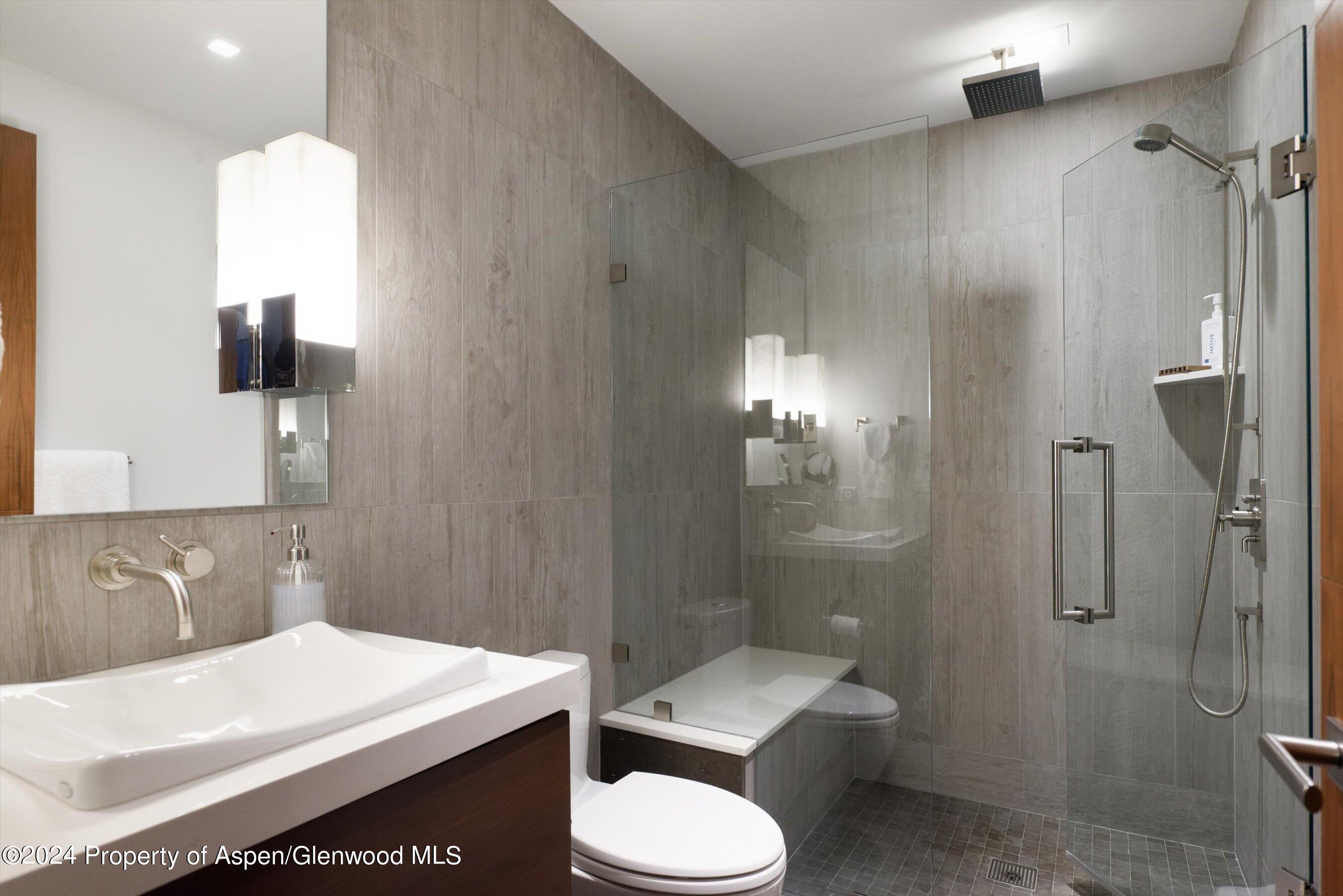 717 S Aspen Street Aspen CO 81611