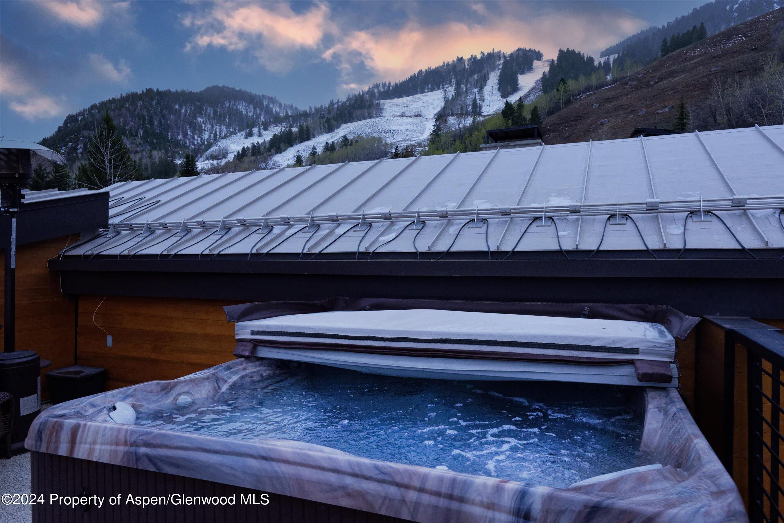 717 S Aspen Street Aspen CO 81611