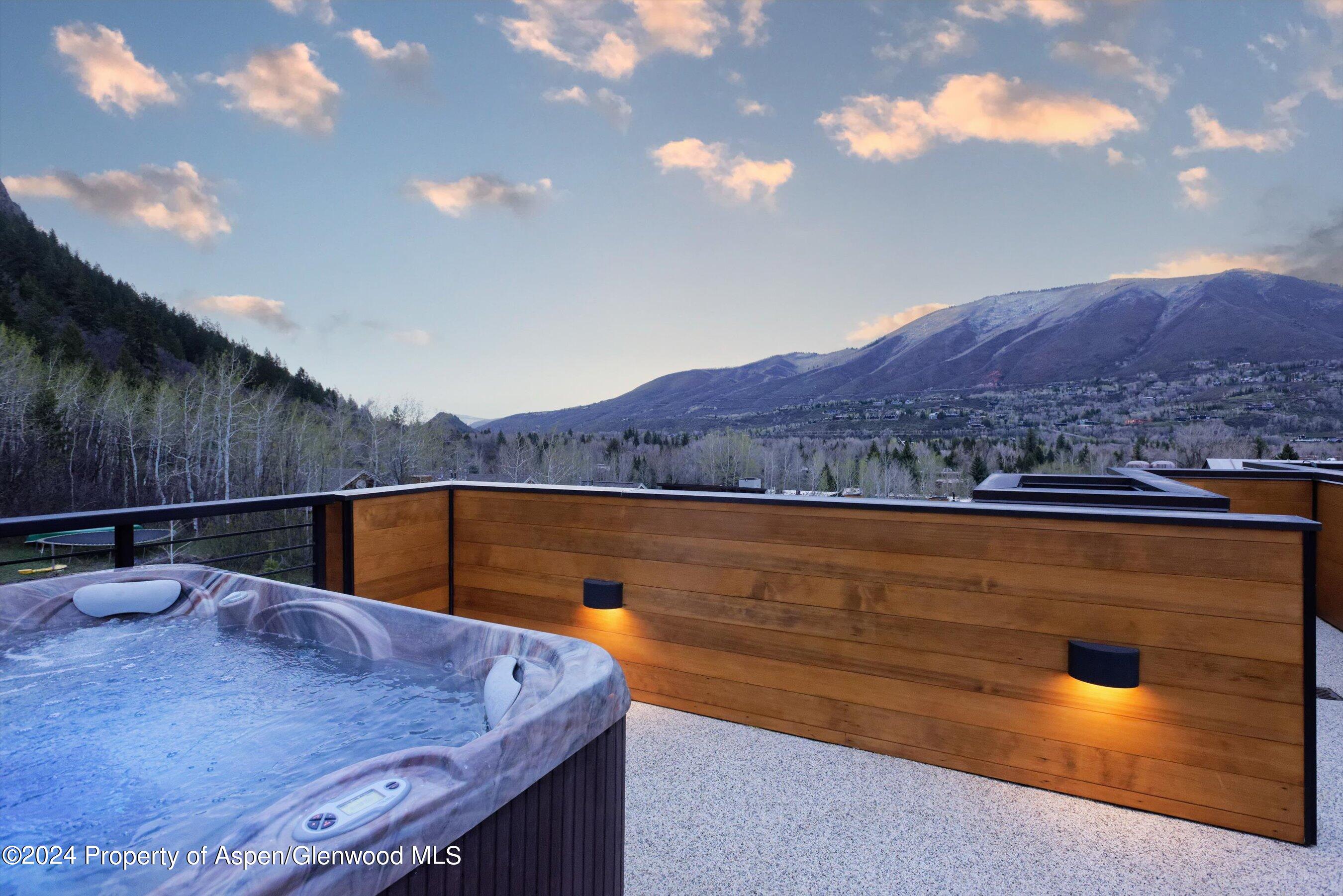 717 S Aspen Street Aspen CO 81611