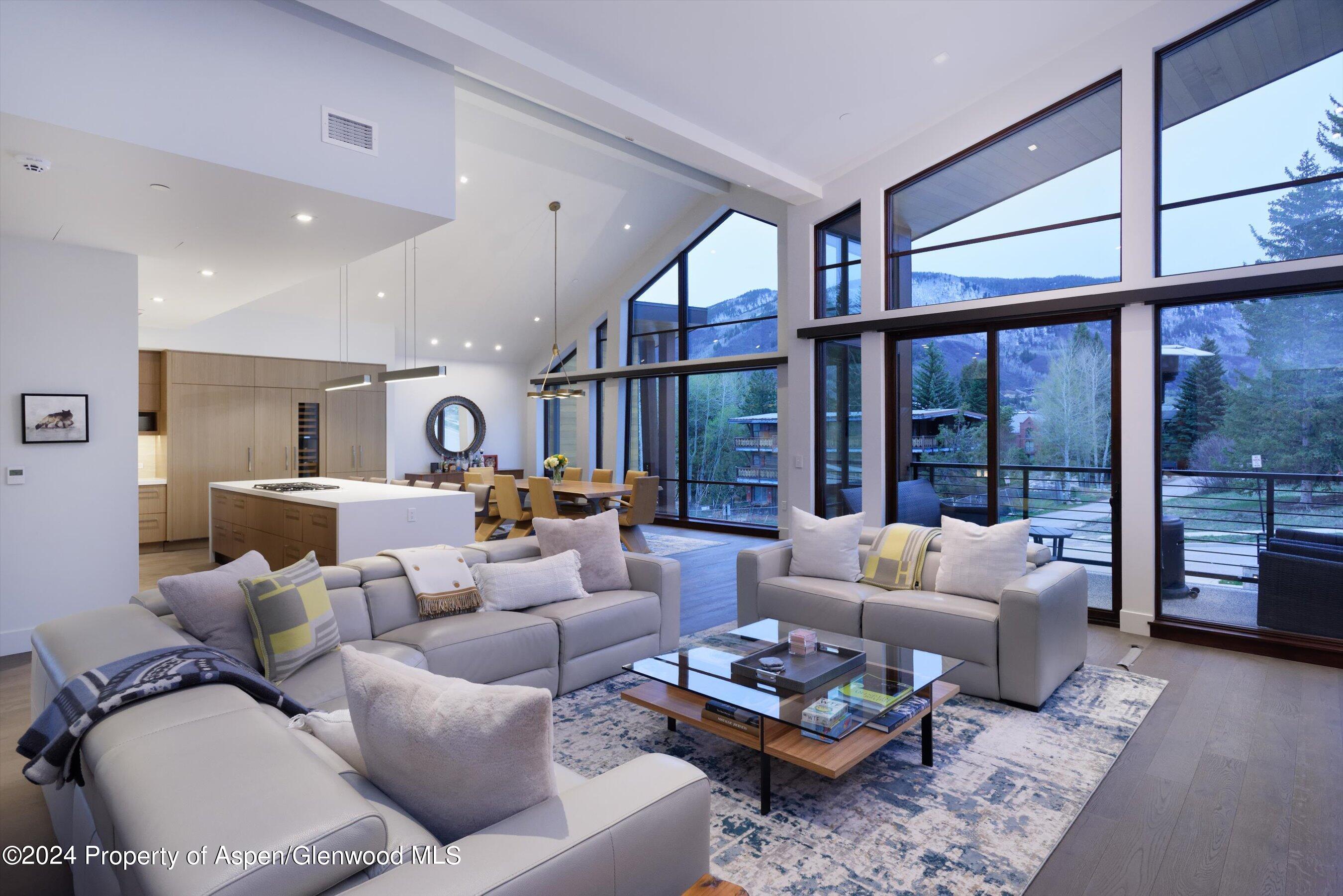 717 S Aspen Street Aspen CO 81611