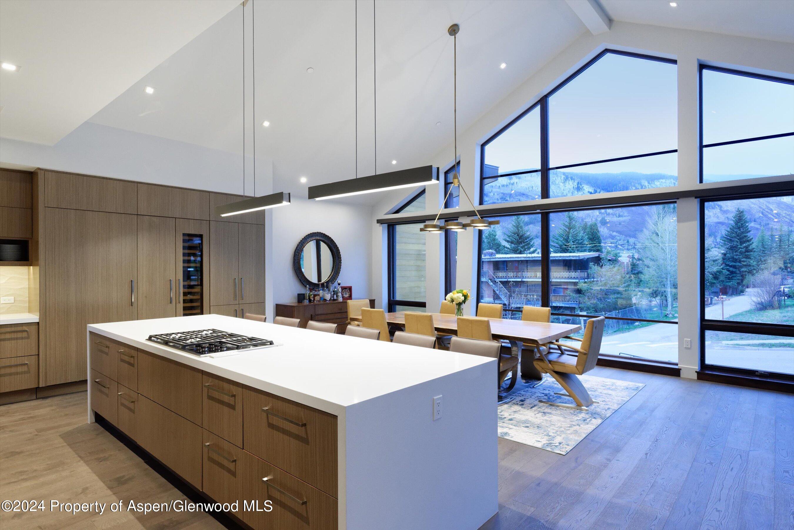 717 S Aspen Street Aspen CO 81611