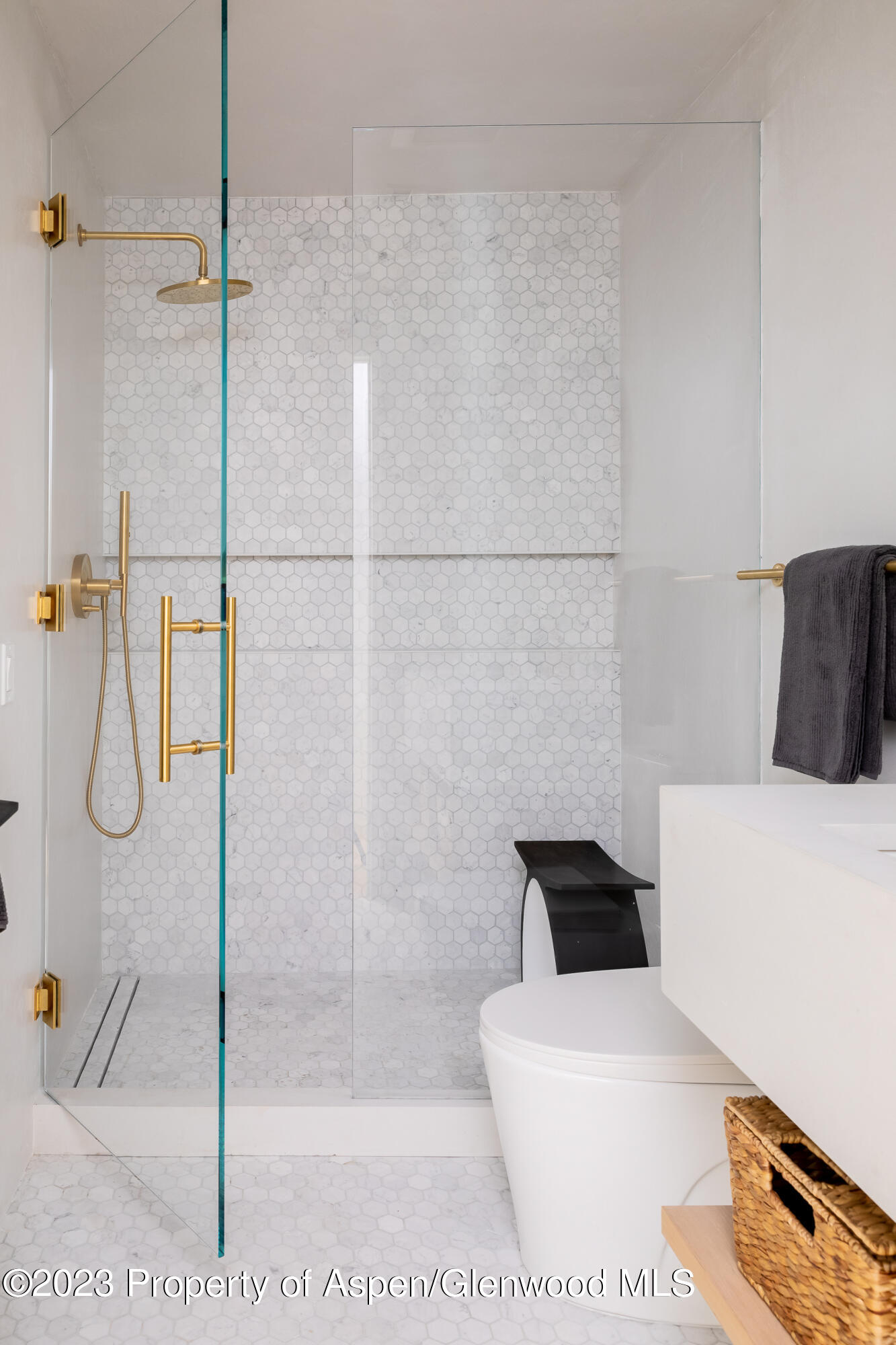 125 W Main Street Aspen CO 81611