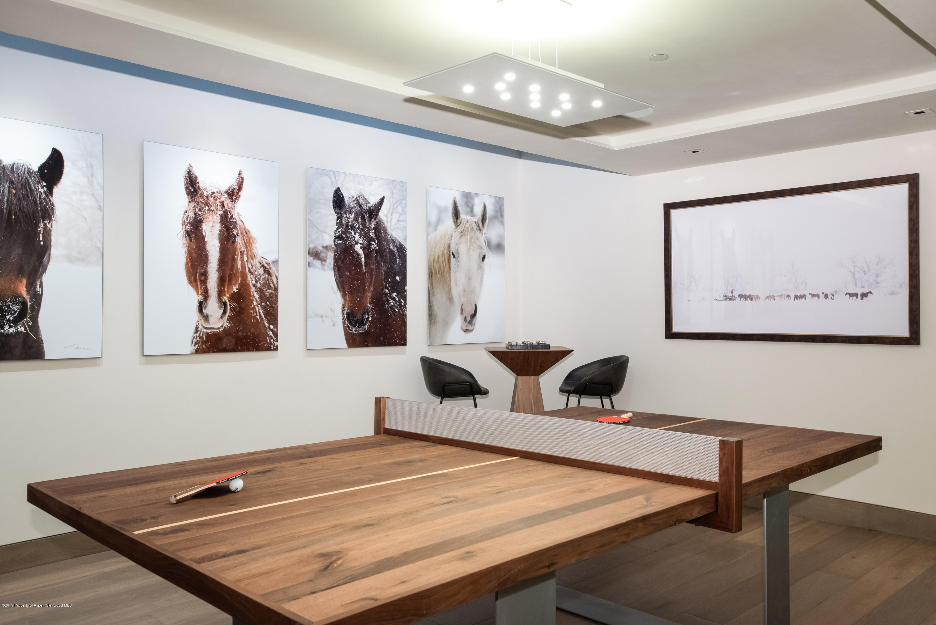 126 Juan Street Aspen CO 81611