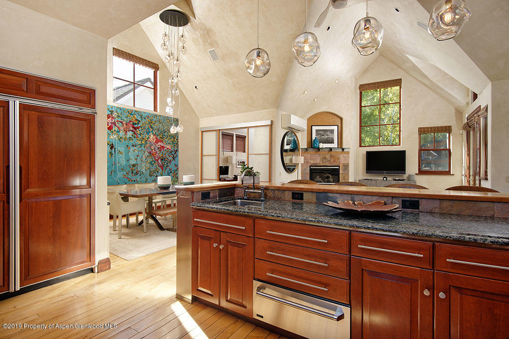 945 E Cooper Avenue Aspen CO 81611