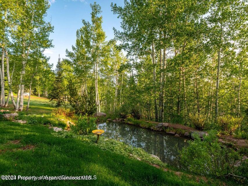 1457 Wood Road Snowmass Village CO 81615