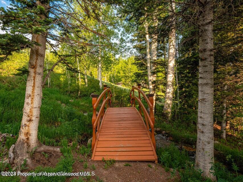 1457 Wood Road Snowmass Village CO 81615