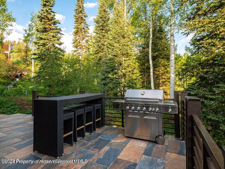 1457 Wood Road Snowmass Village CO 81615